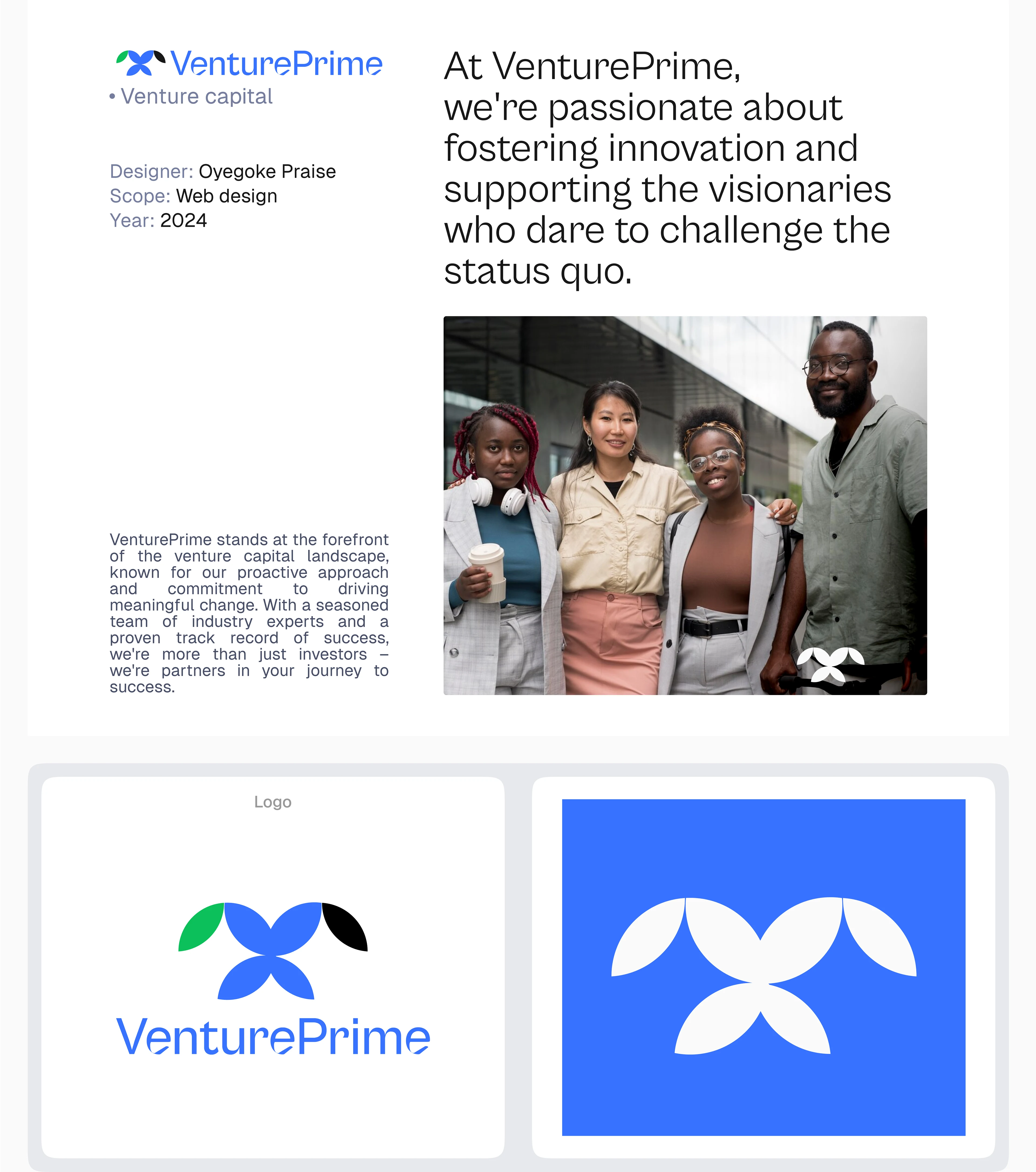 Logo and Brand Design for Venture Prime