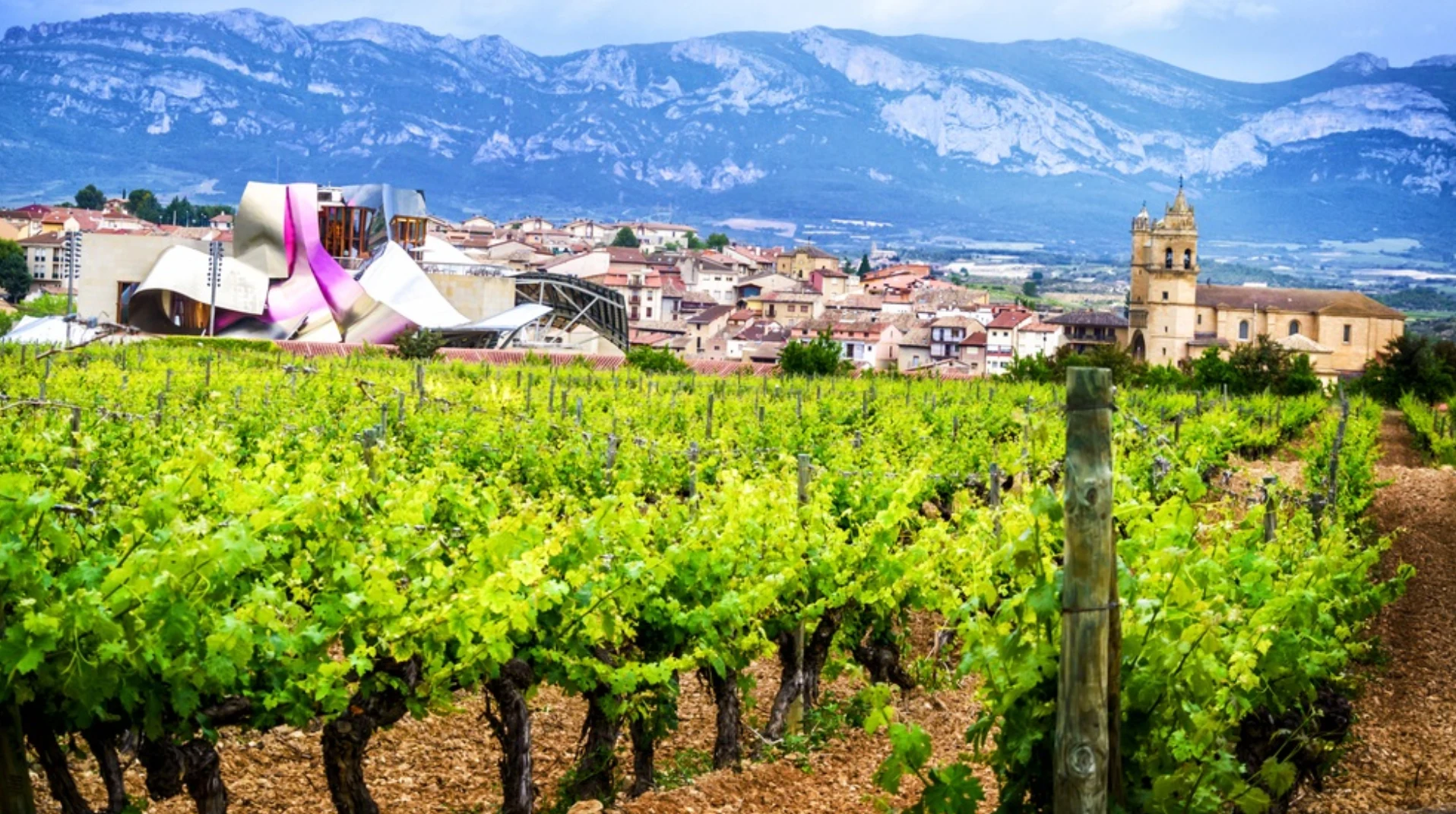 The Cuisine of La Rioja: One of Spain's Best Wine Producing Regions