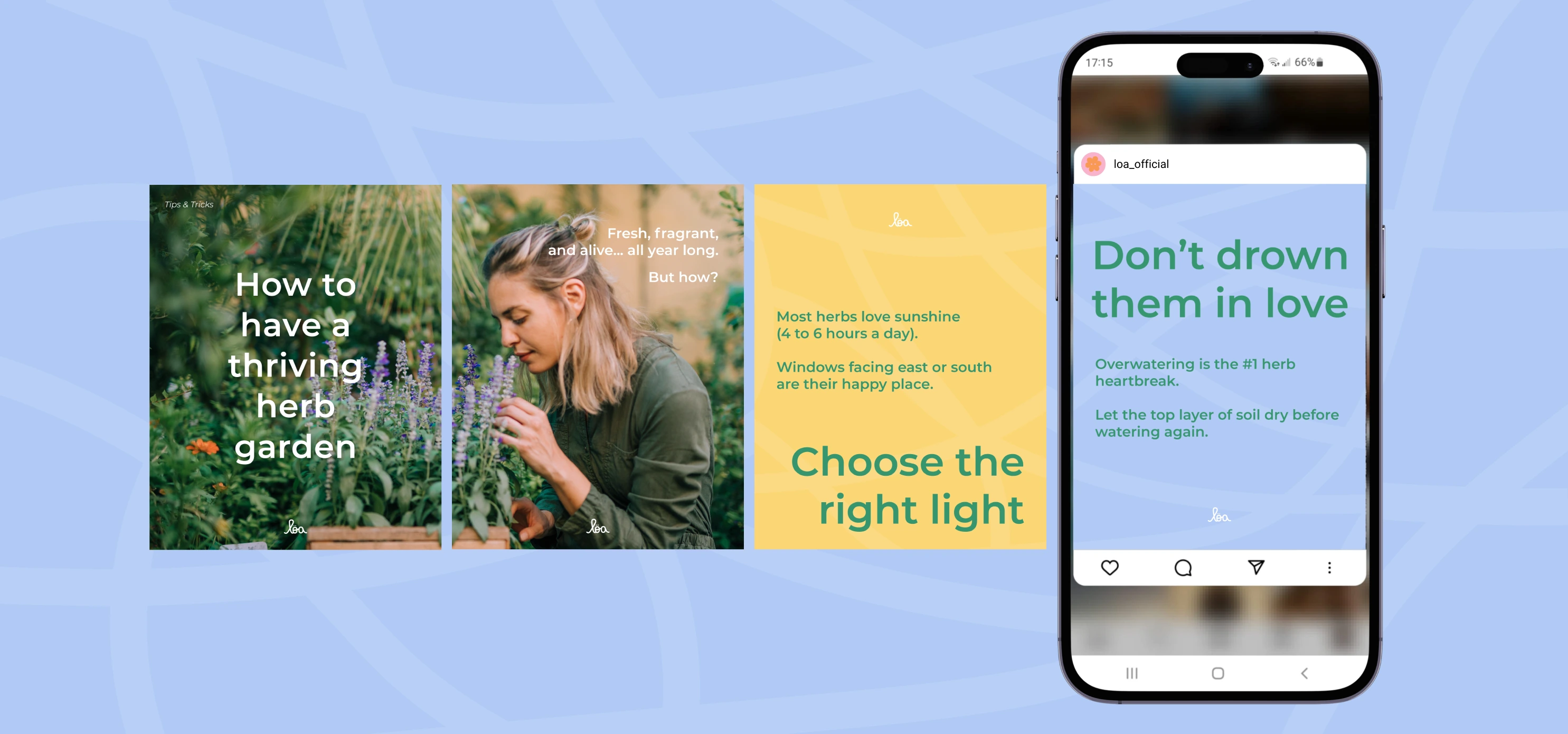 Brand's Social Media Post