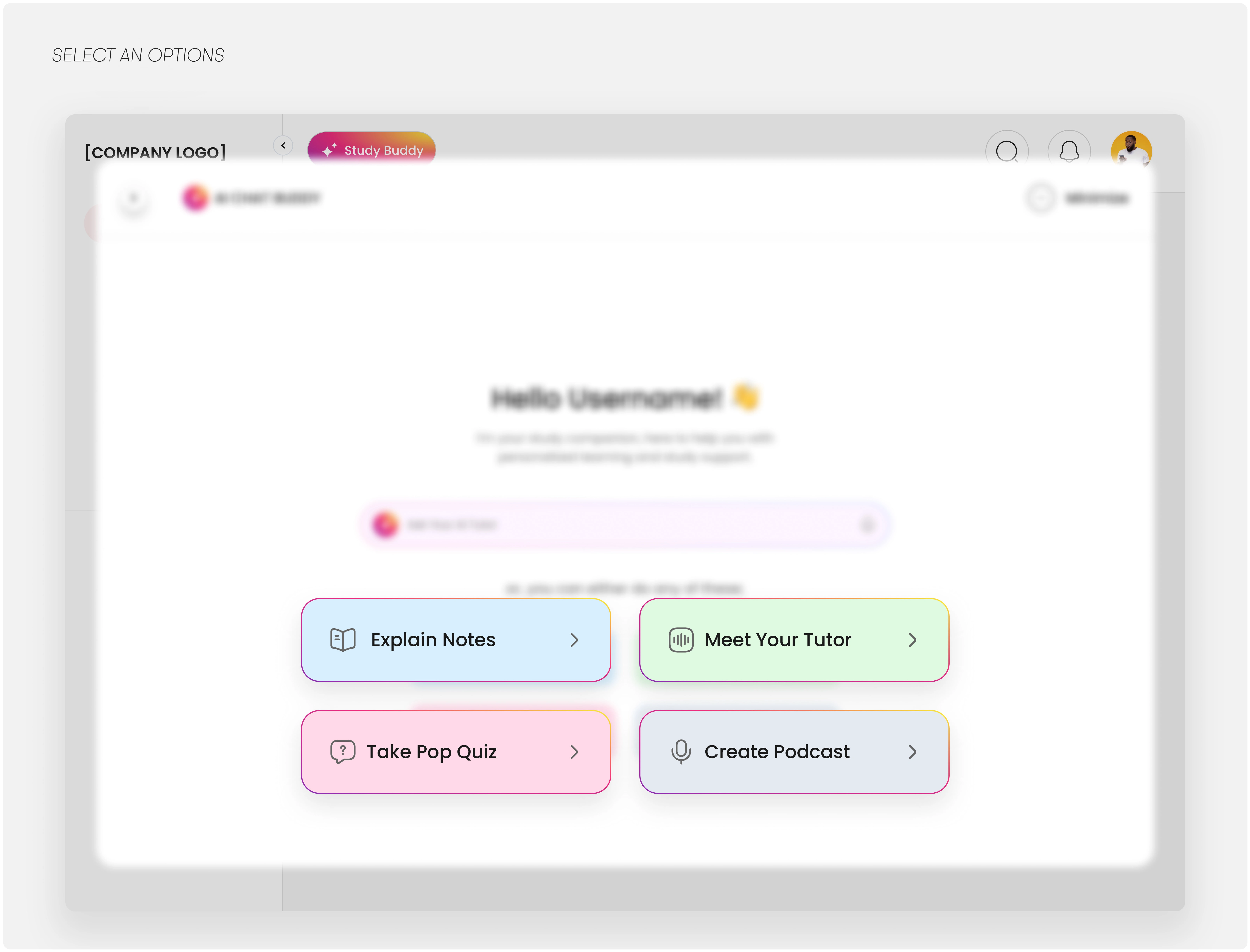 Direct Options for User Curiosity