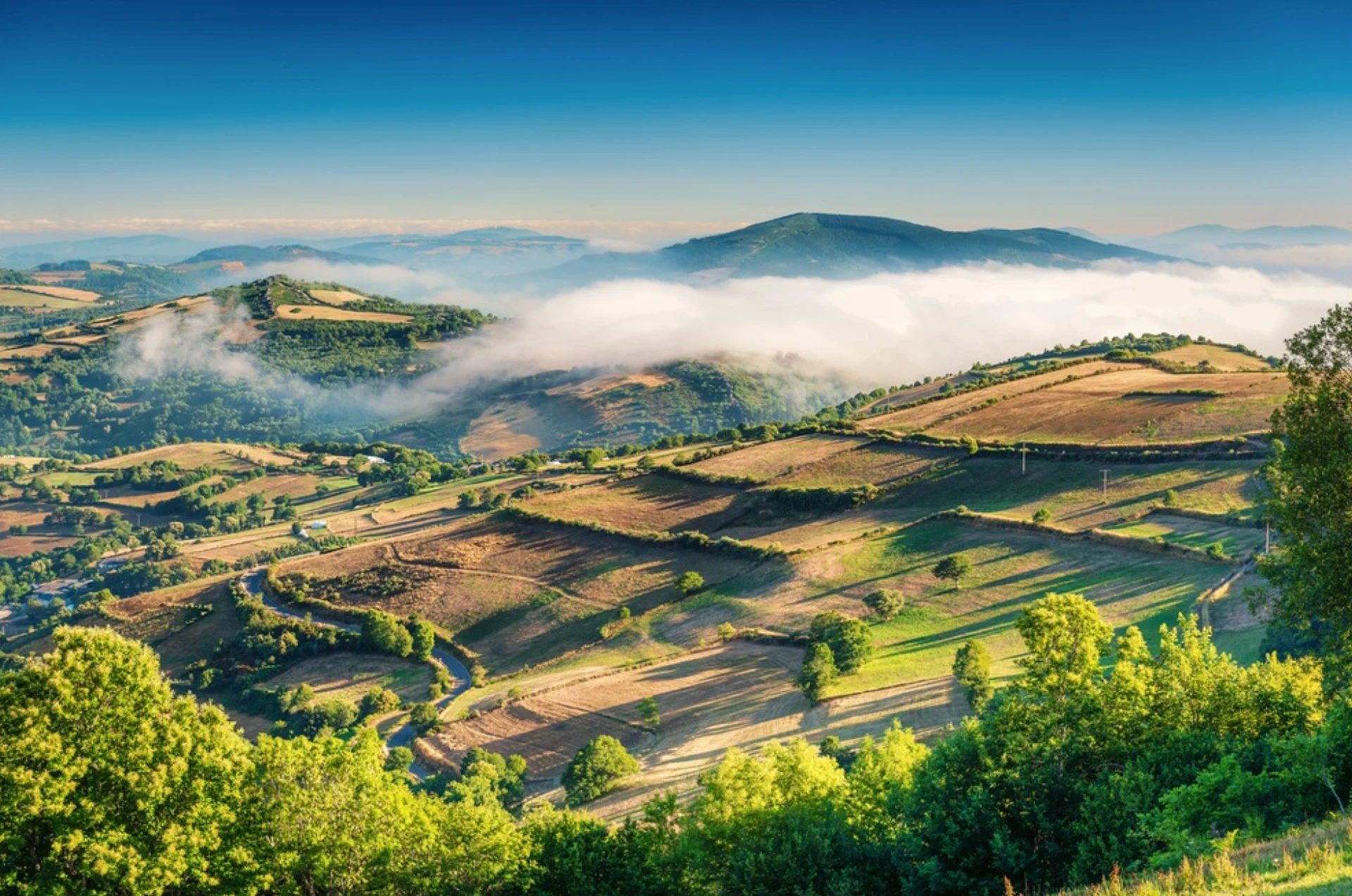 Unveiling the Gastronomic Delights: A Journey into Galician Cuisine & Gastronomy