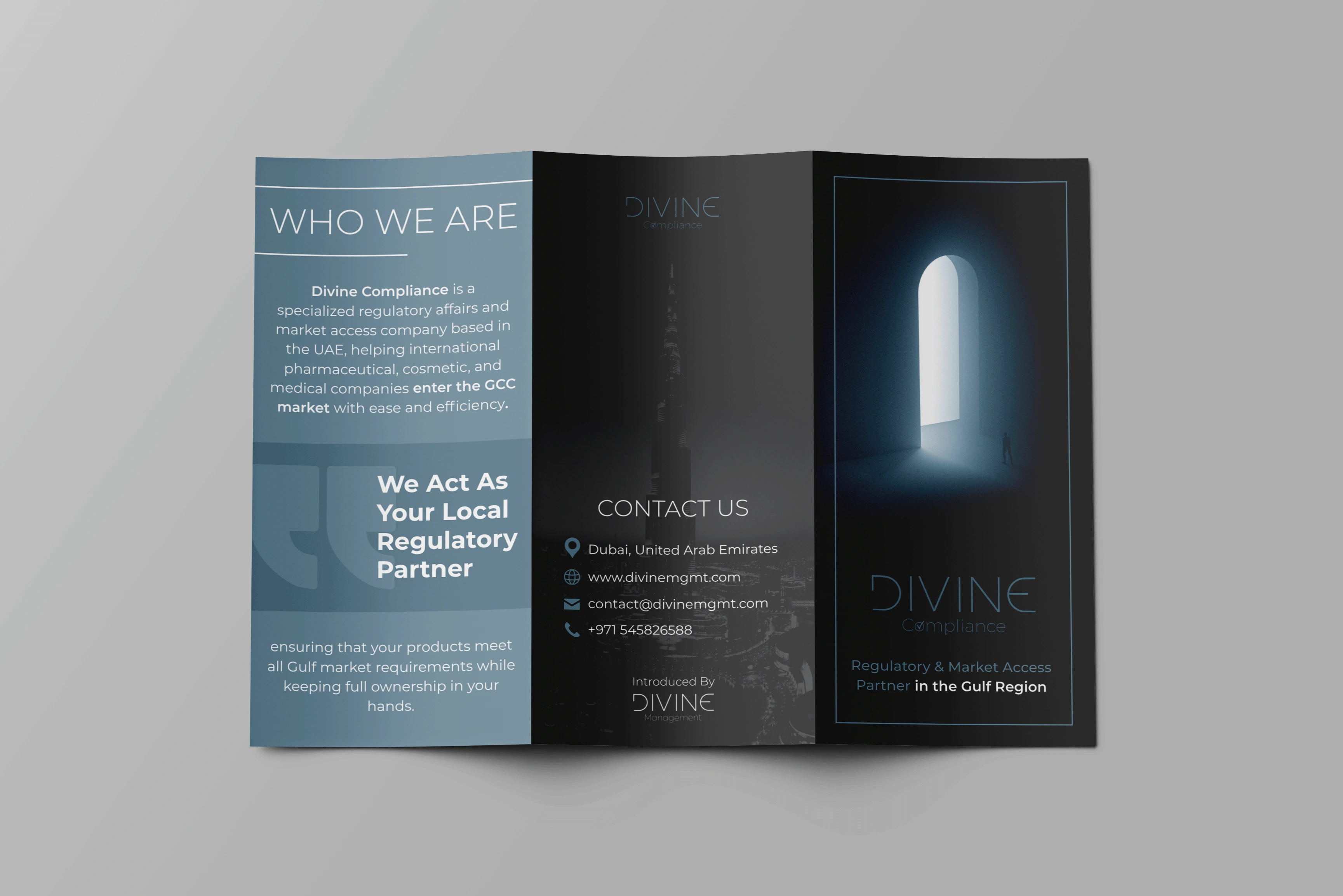 Divine Compliance - Marketing Brochure