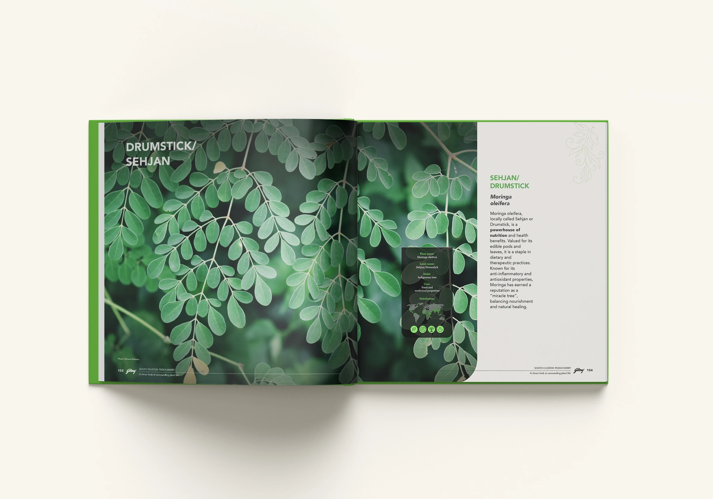 Inside Pages