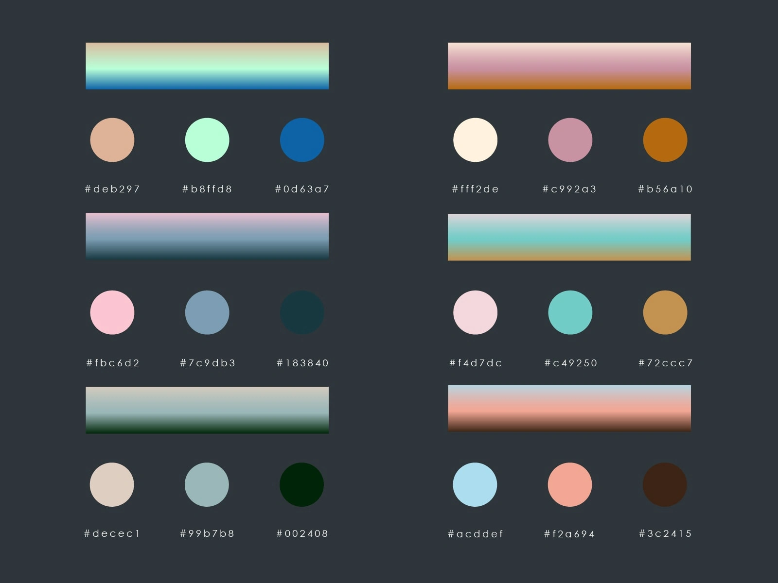Color Palette