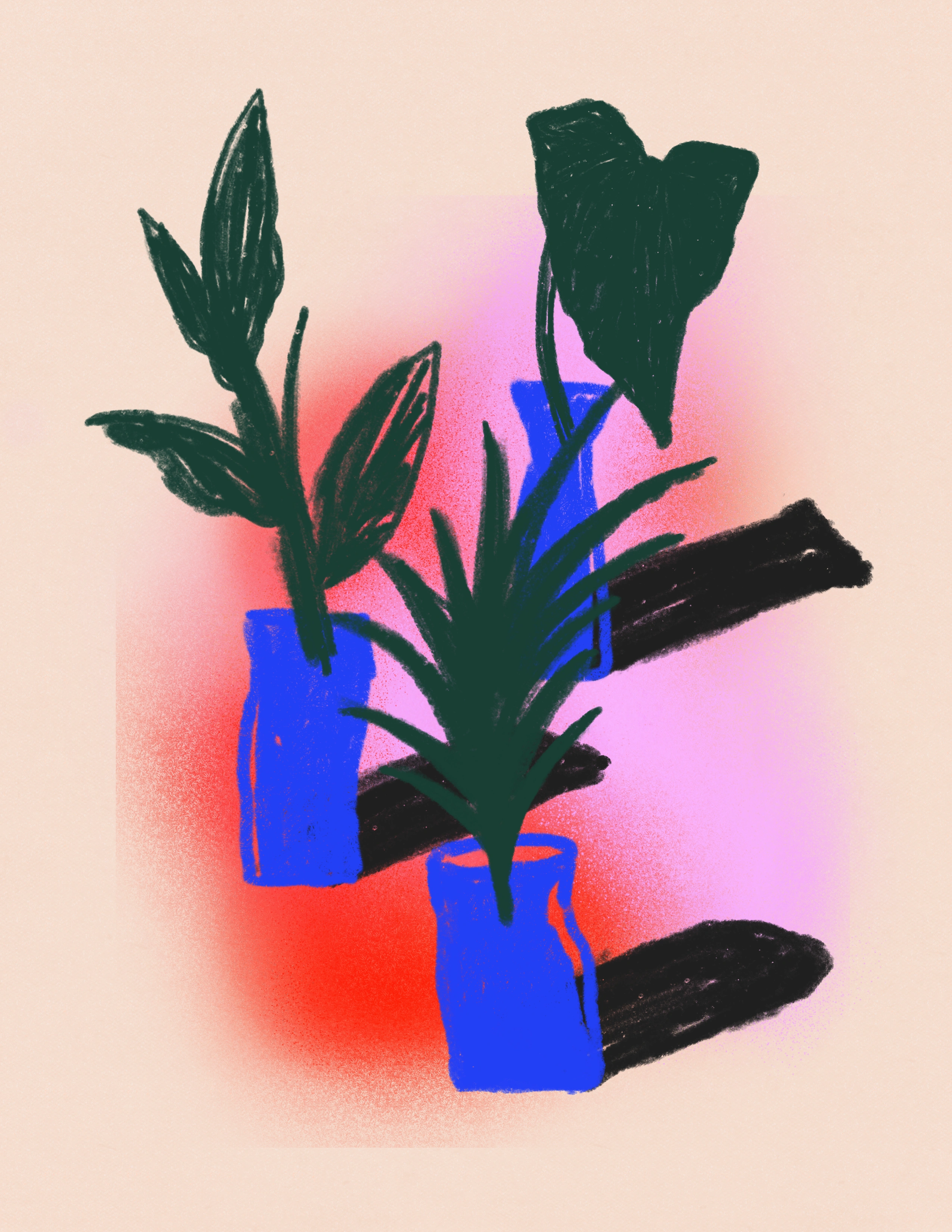 Potted Plants Illustration