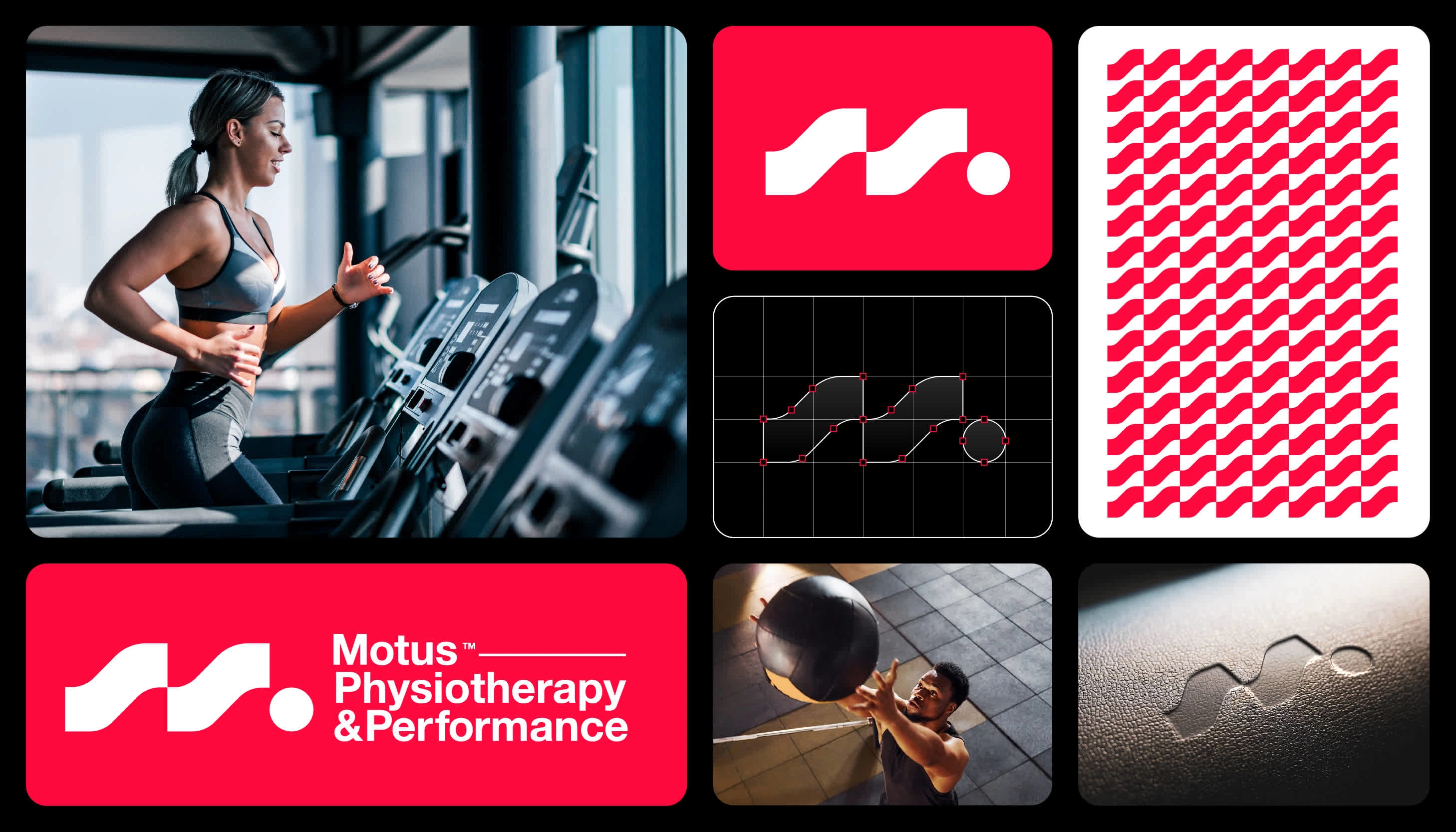 MOTUS - Physiotherapy & performance