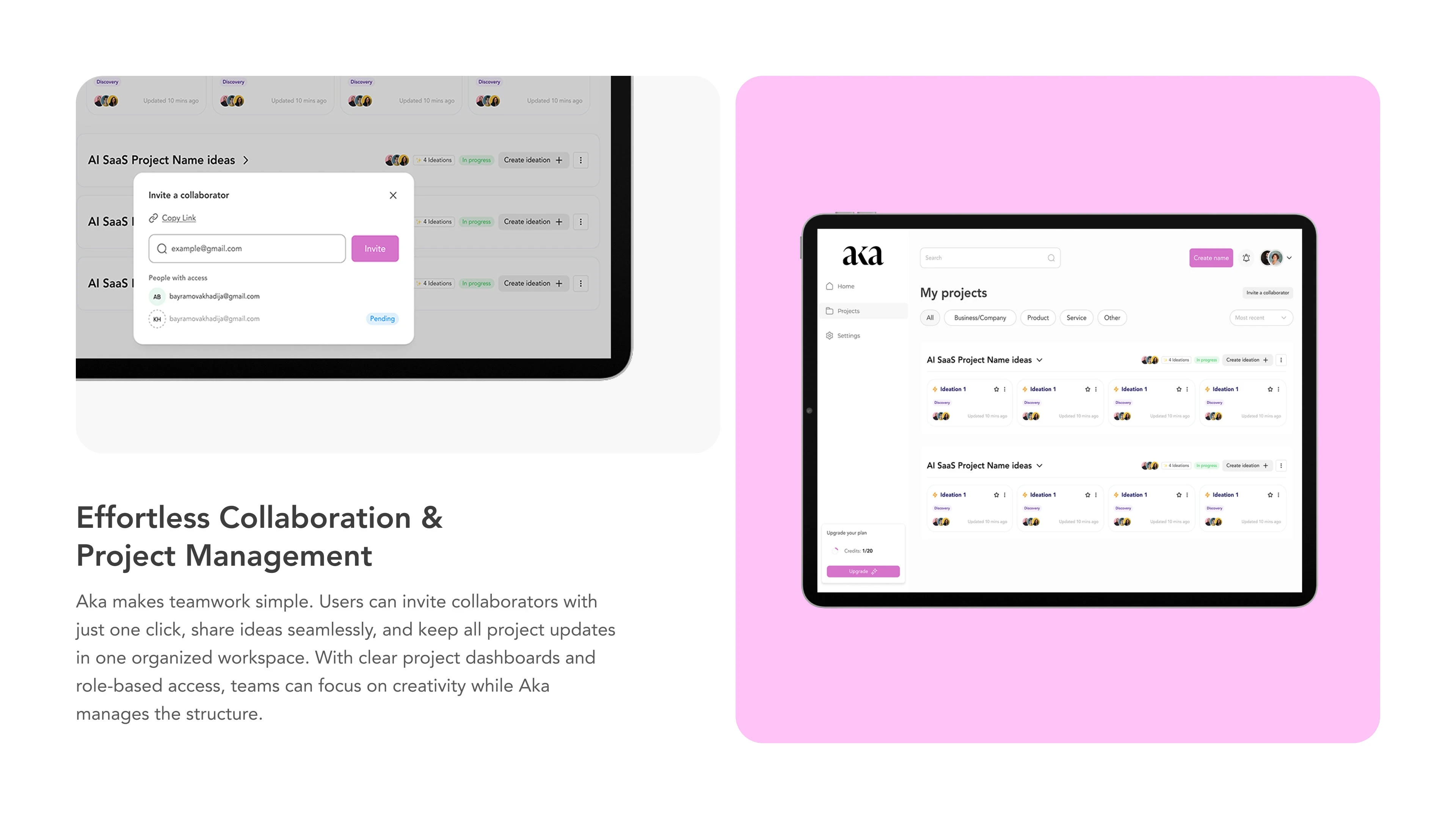 Project & Collaboration