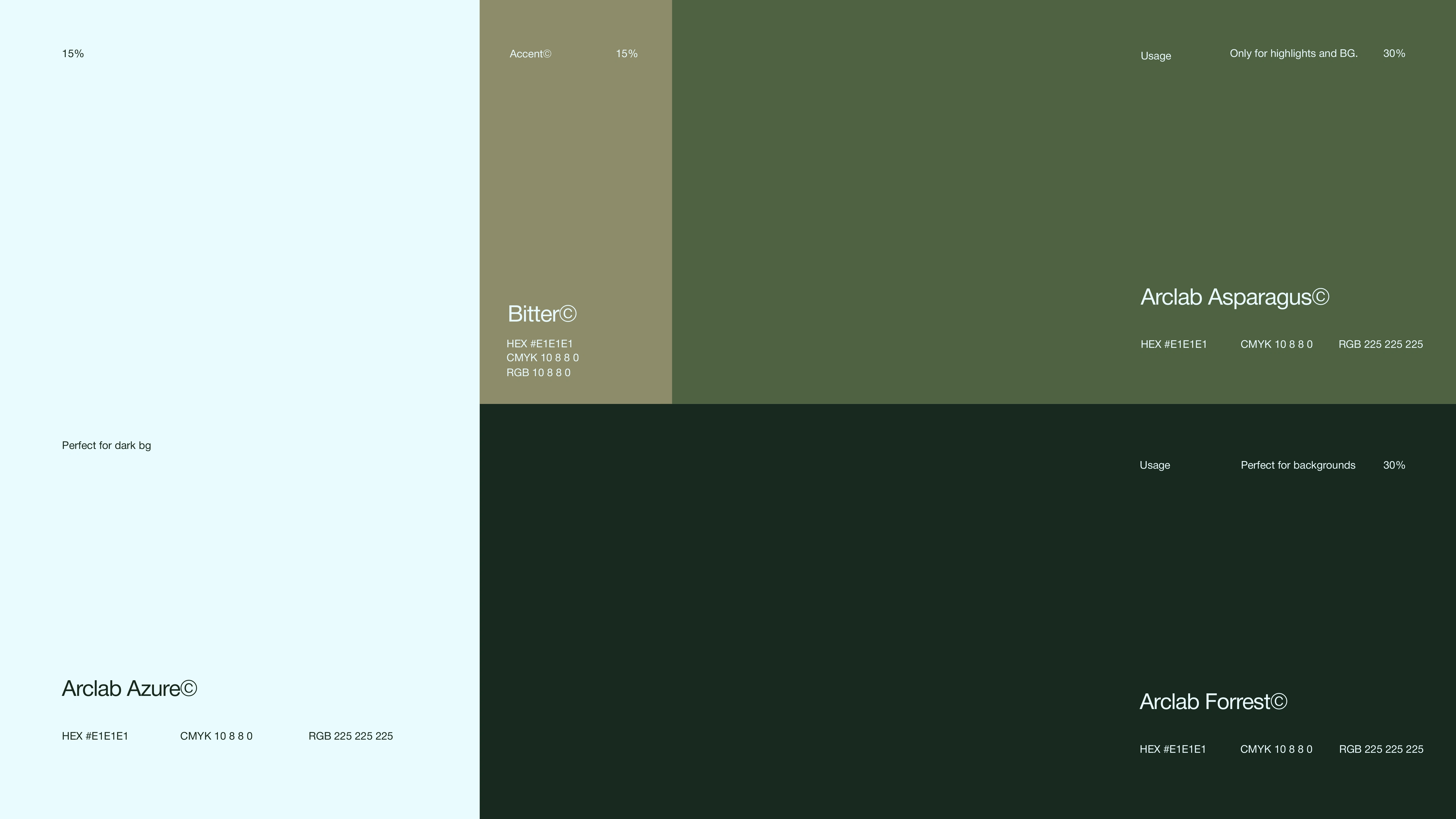 Color Palette
