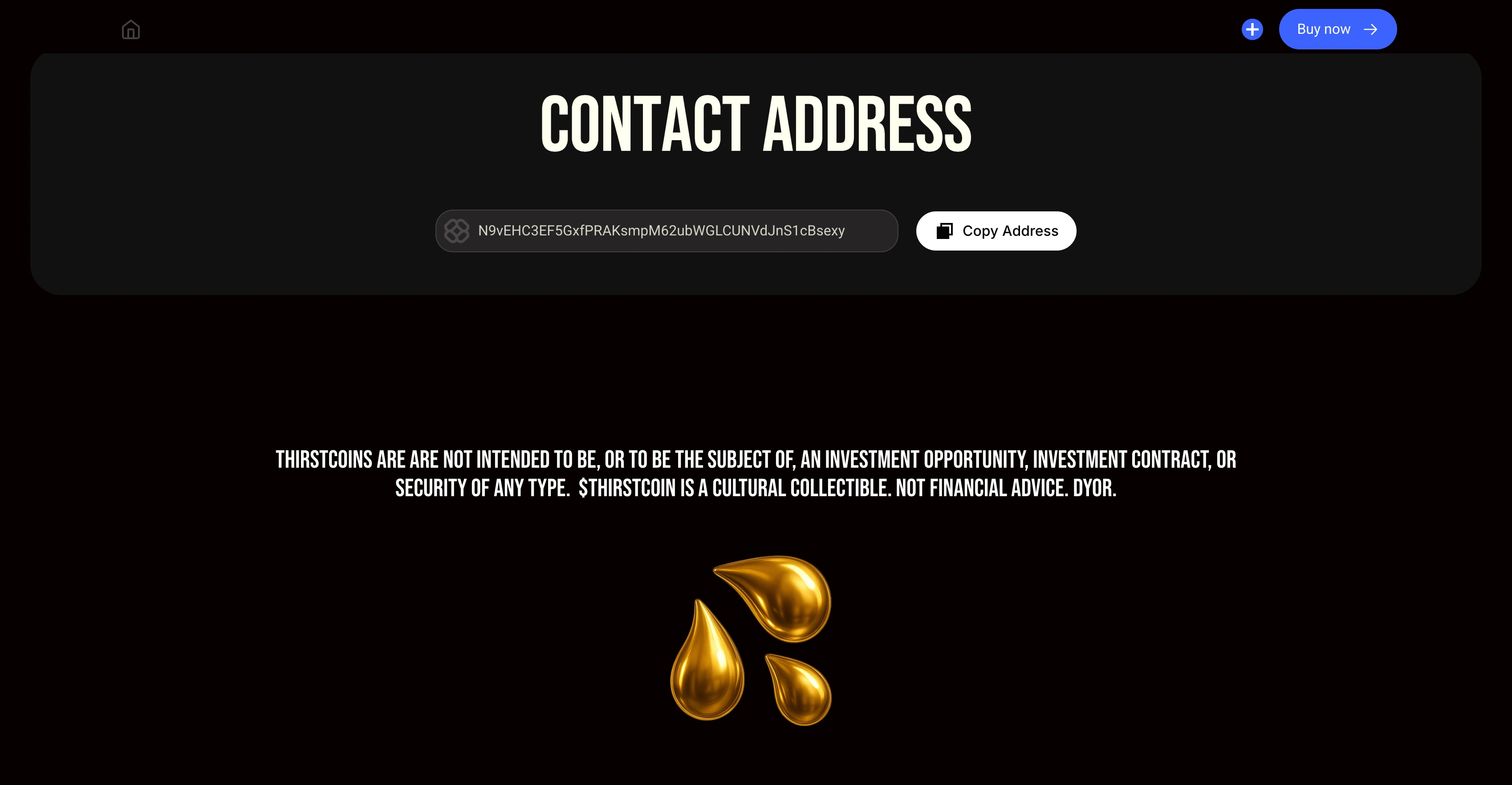 Contact address and footer