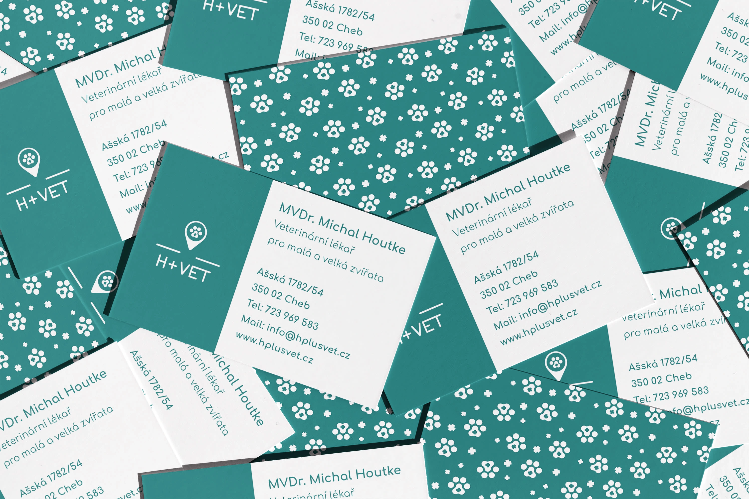 the brand identity is consistent throughout digital and printed assets