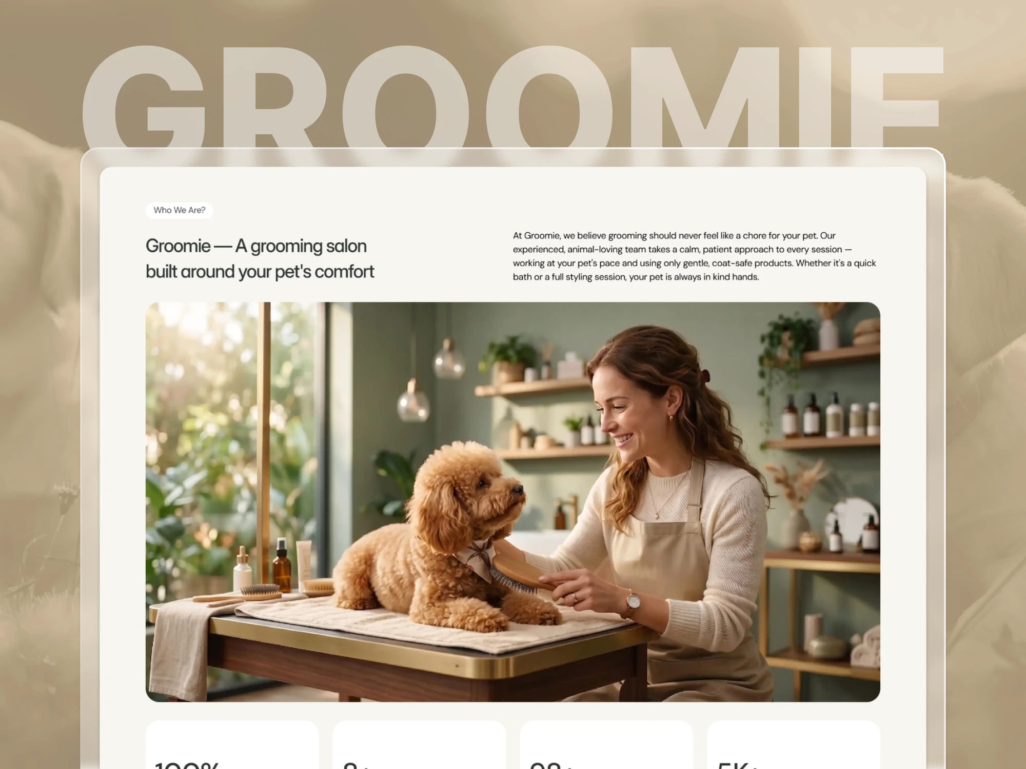 A gentle grooming moment where a dog is being cared for in a calm, pet-friendly environment.
