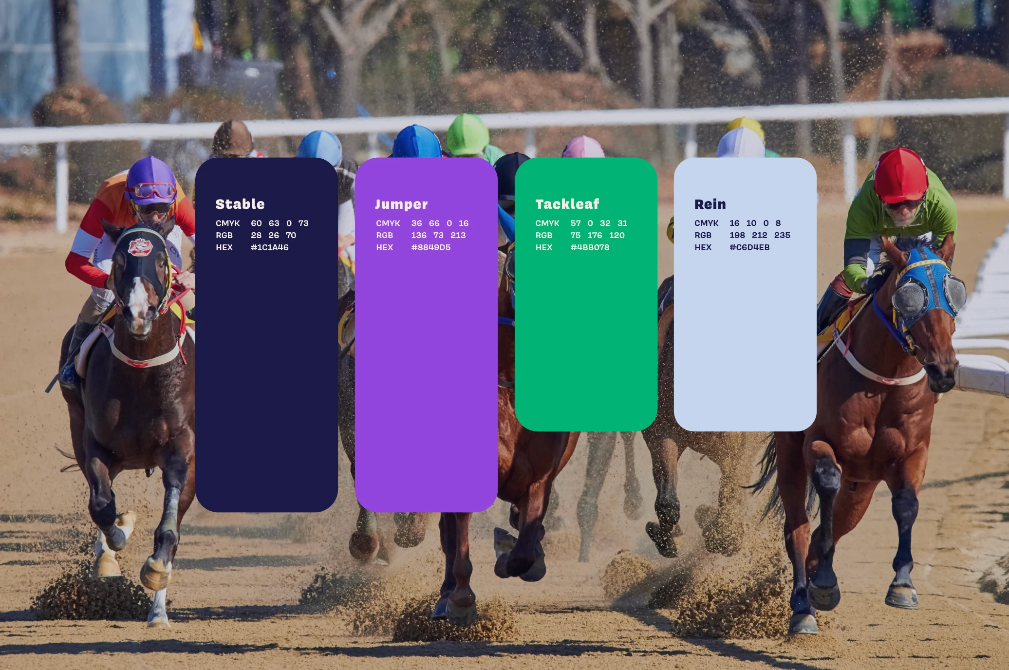 Logo Design, Logo Designer, Visual Designer, Brand Identity, Brand Identity Design, Branding, , Brand Design, Brand Strategist, Creative Strategist, Brand Guidelines, Graphic Designer, Adobe Illustrator, Adobe Photoshop - EqHarmony, Digital Equestrian Platform