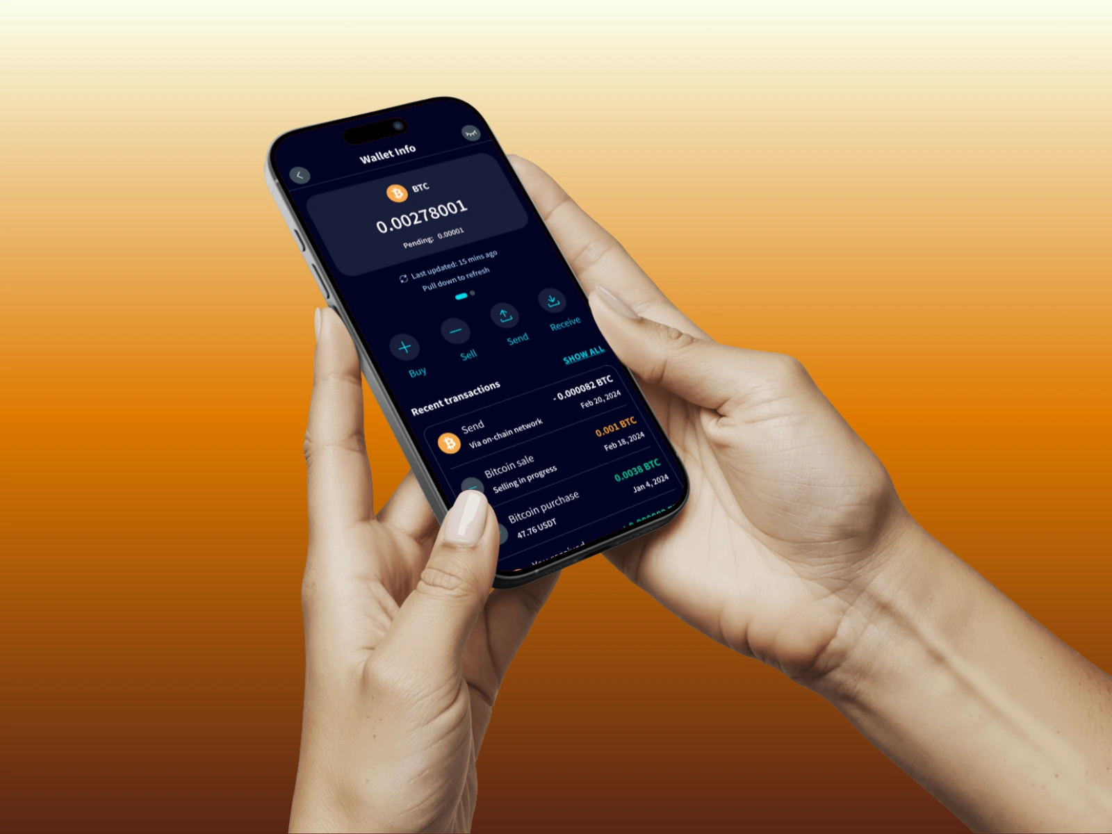 Bitnomi BTC Wallet UI Preview