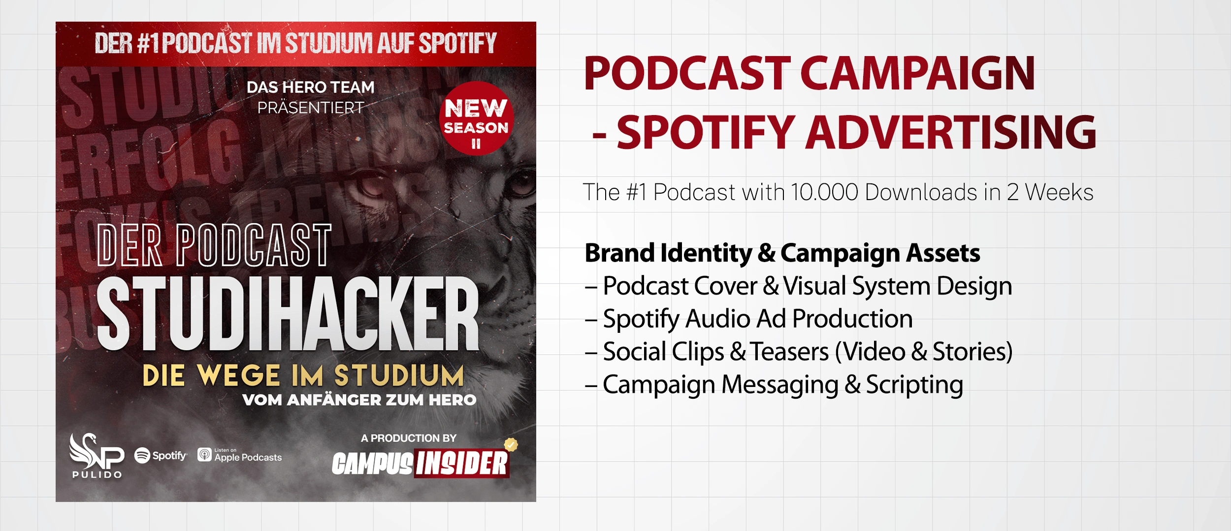 Full campaign suite: ad scripting, visual design, social clips, Spotify optimization.