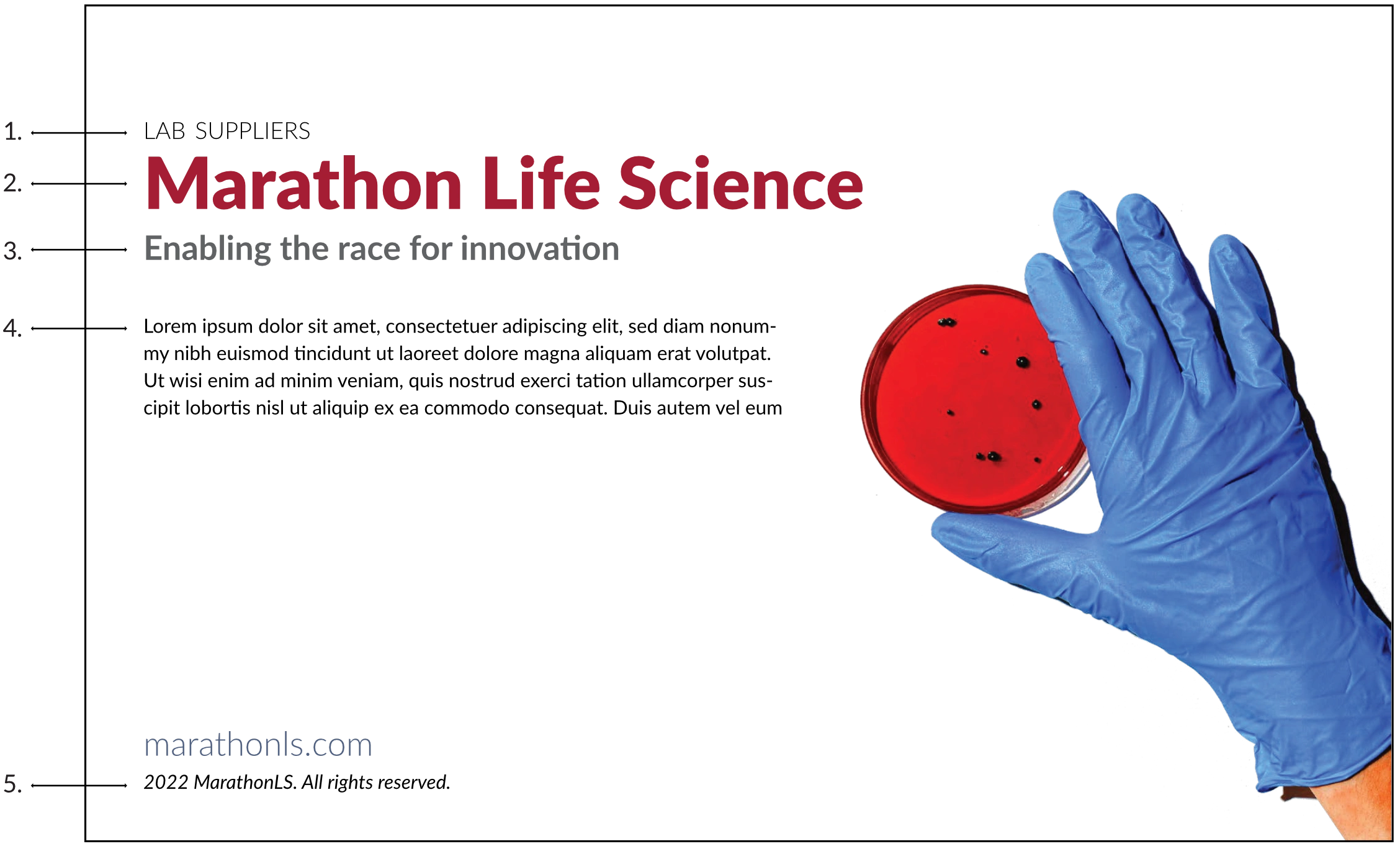 Typography Hierarchy 