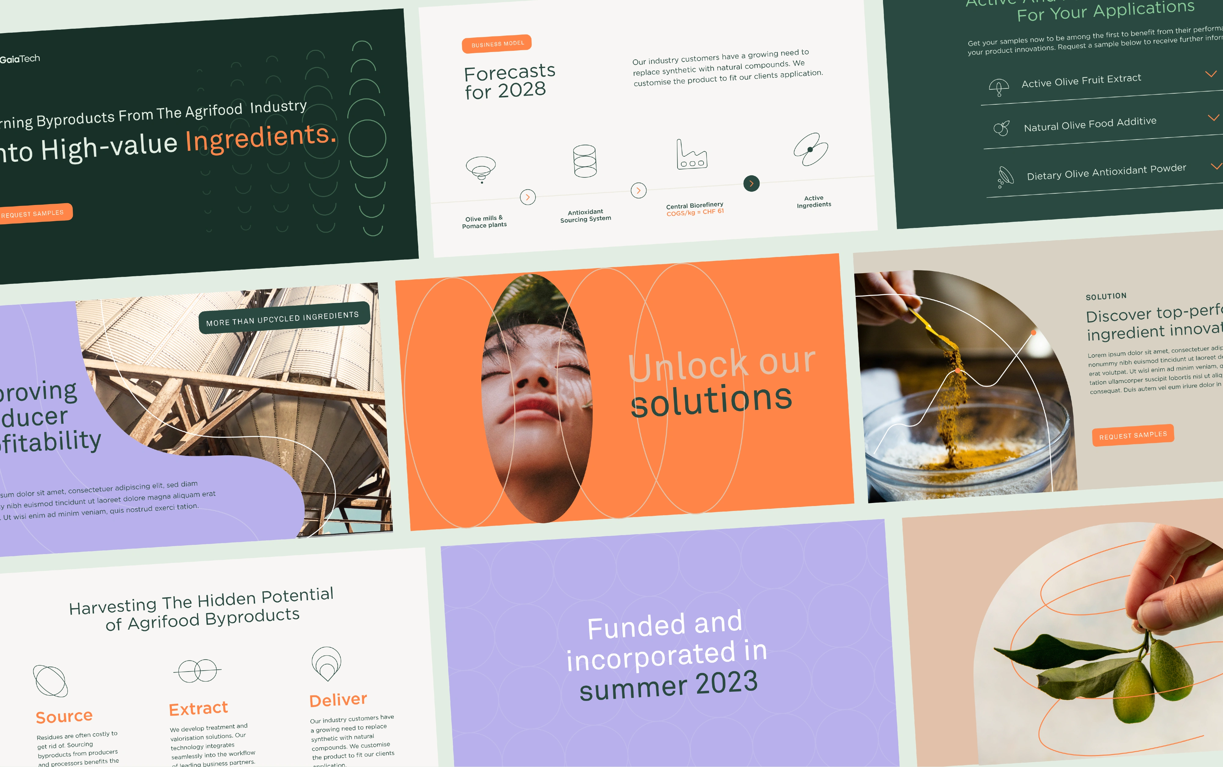 A fully refreshed investor pitch deck that carried the new visual identity