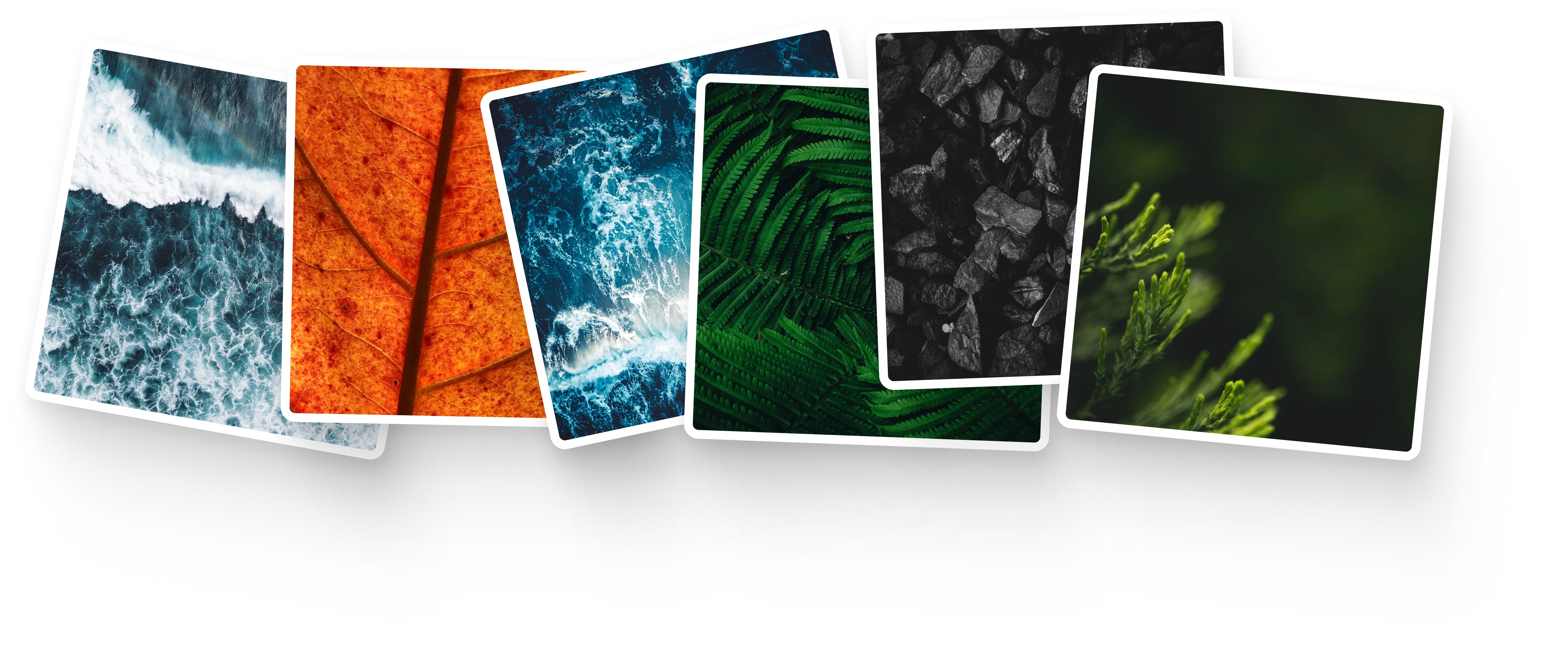 We found a specific environmental and climate-conscious tone for ClimateSeed’s branding.
