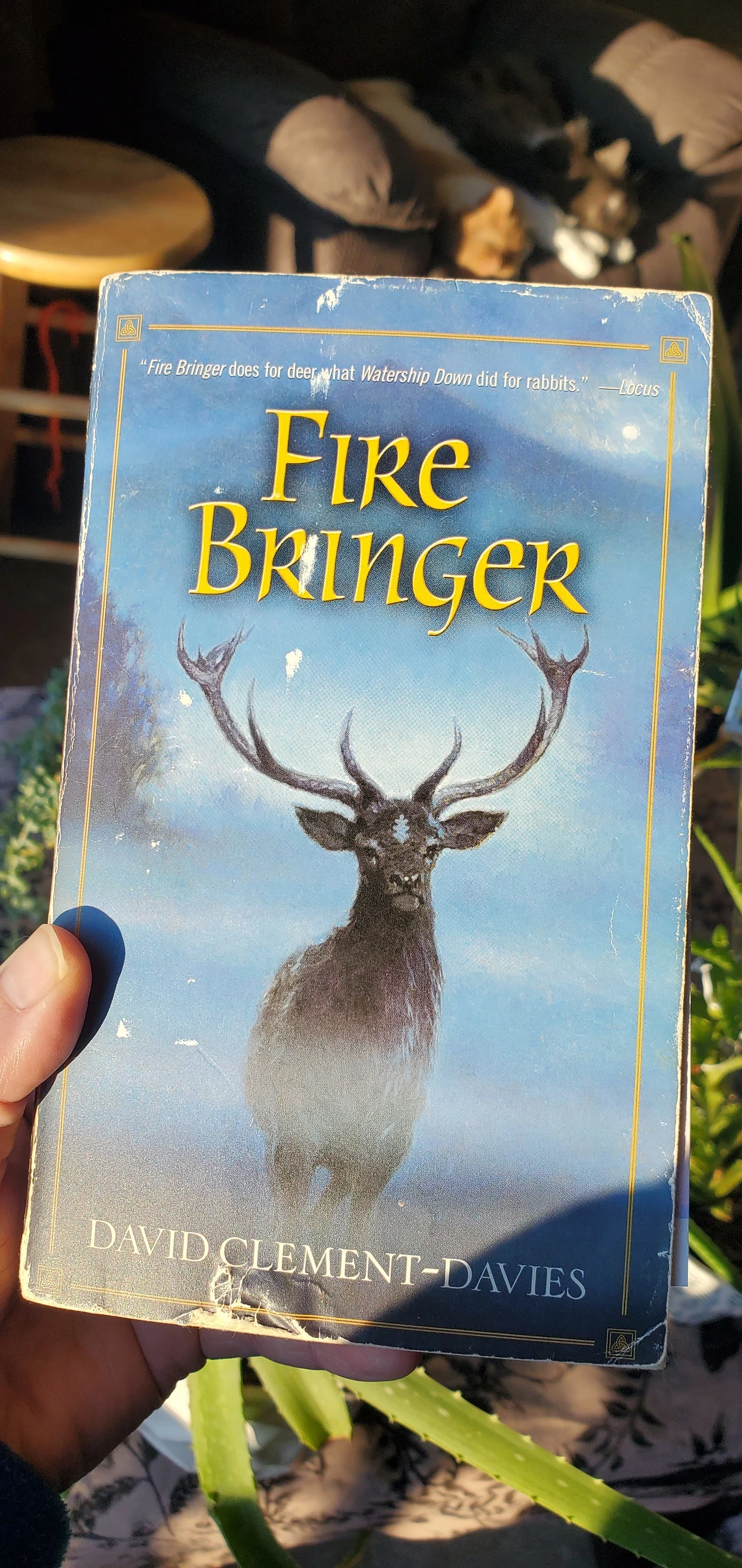 My favorite book growing up that I still revisit regularly, well worn from years of love and use. Combined with score music from Gladiator and The Man in the Iron Mask, I escaped to another world.