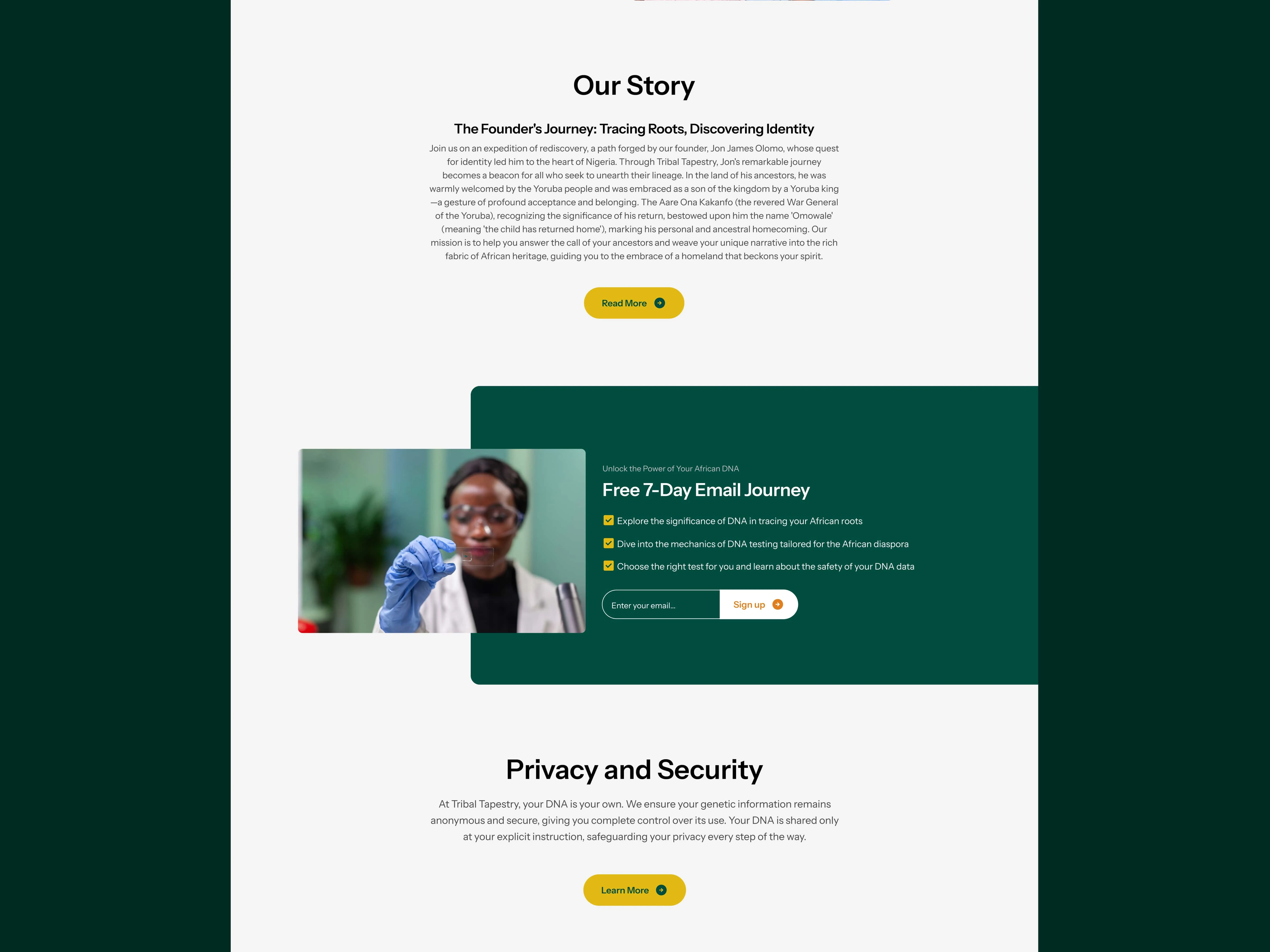New home page continue...