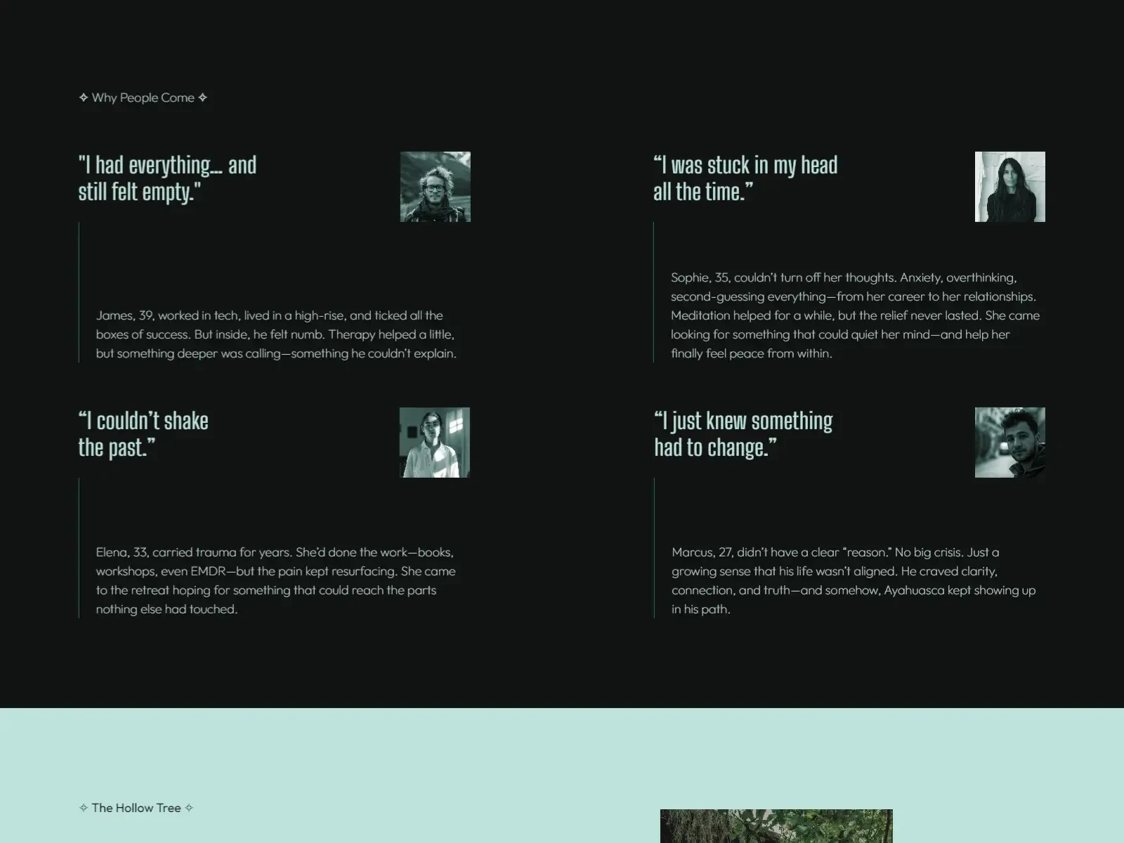 The Problem section of the website contains real people's stories, creating emotional connection with the visitors.