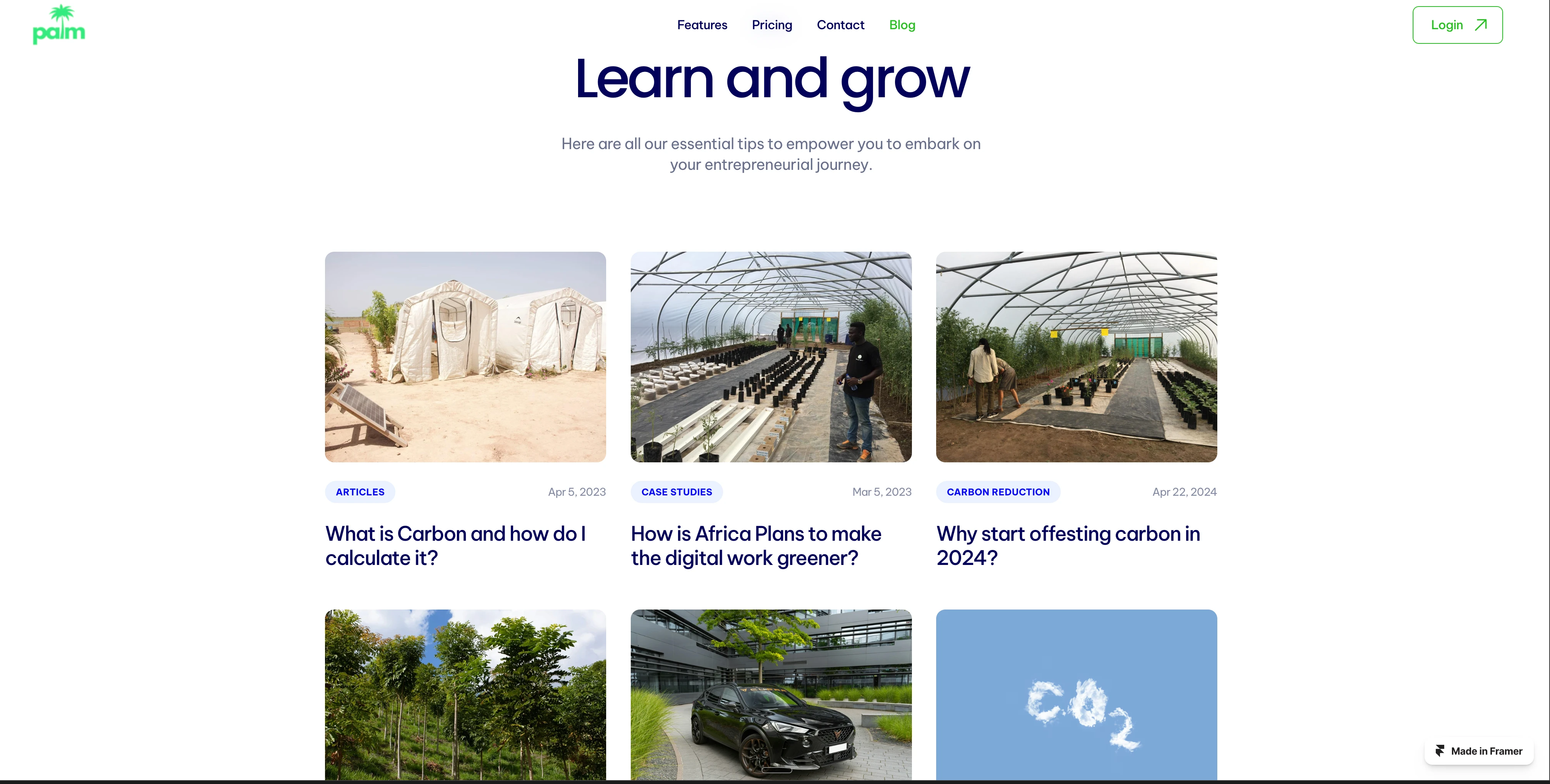 Palm Carbon (Framer)