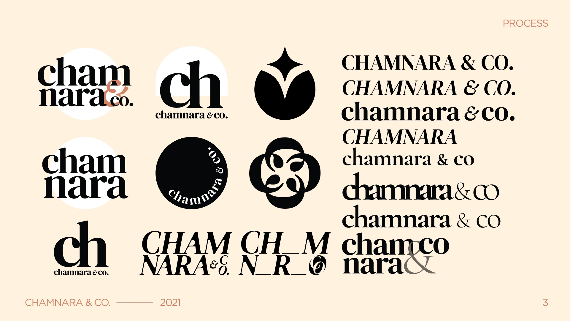 Process in creating the logomark