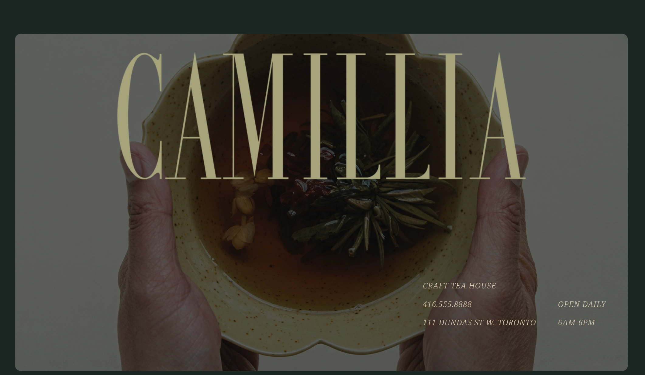 Camillia Hero section