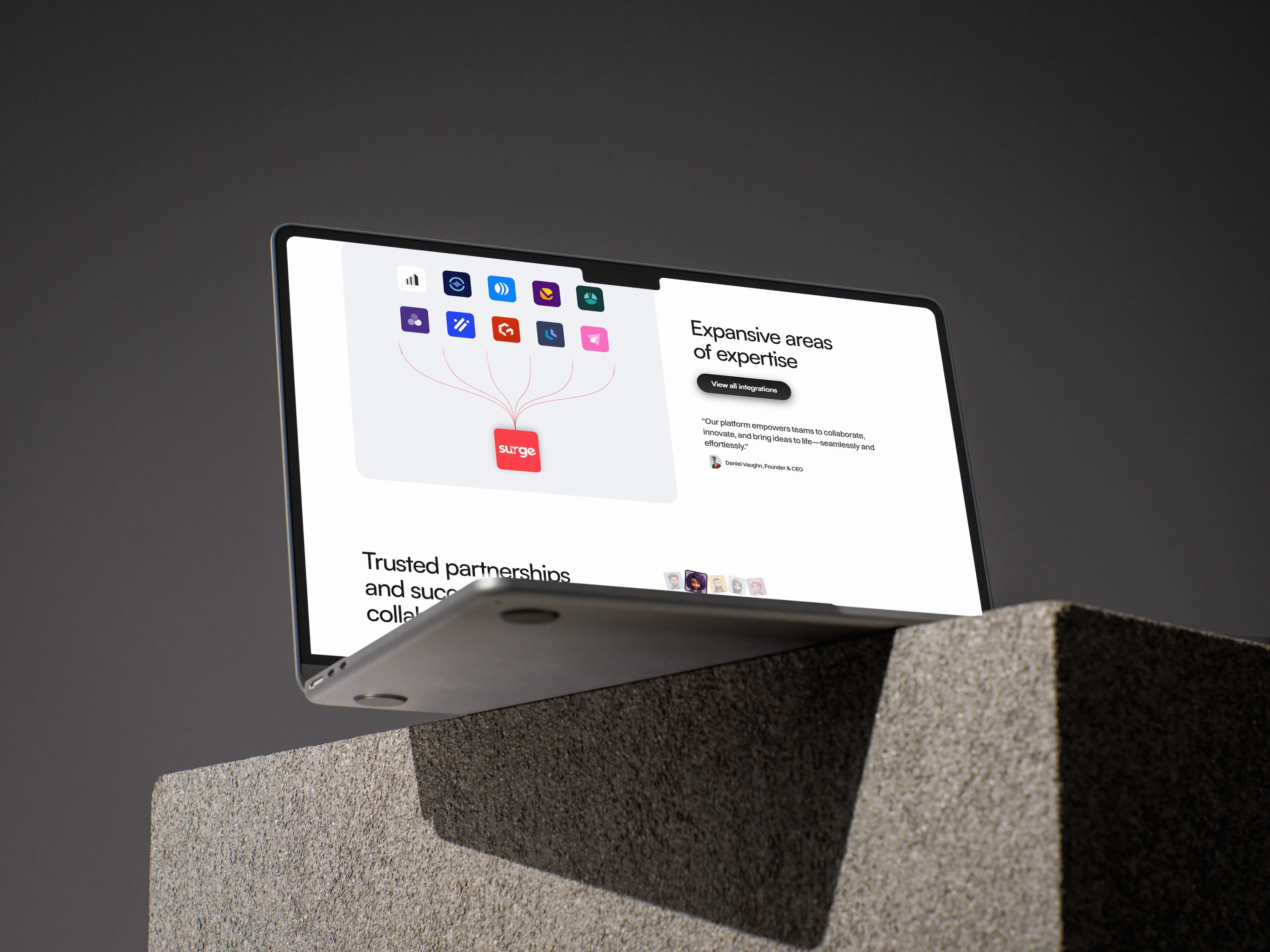 Laptop view of the website