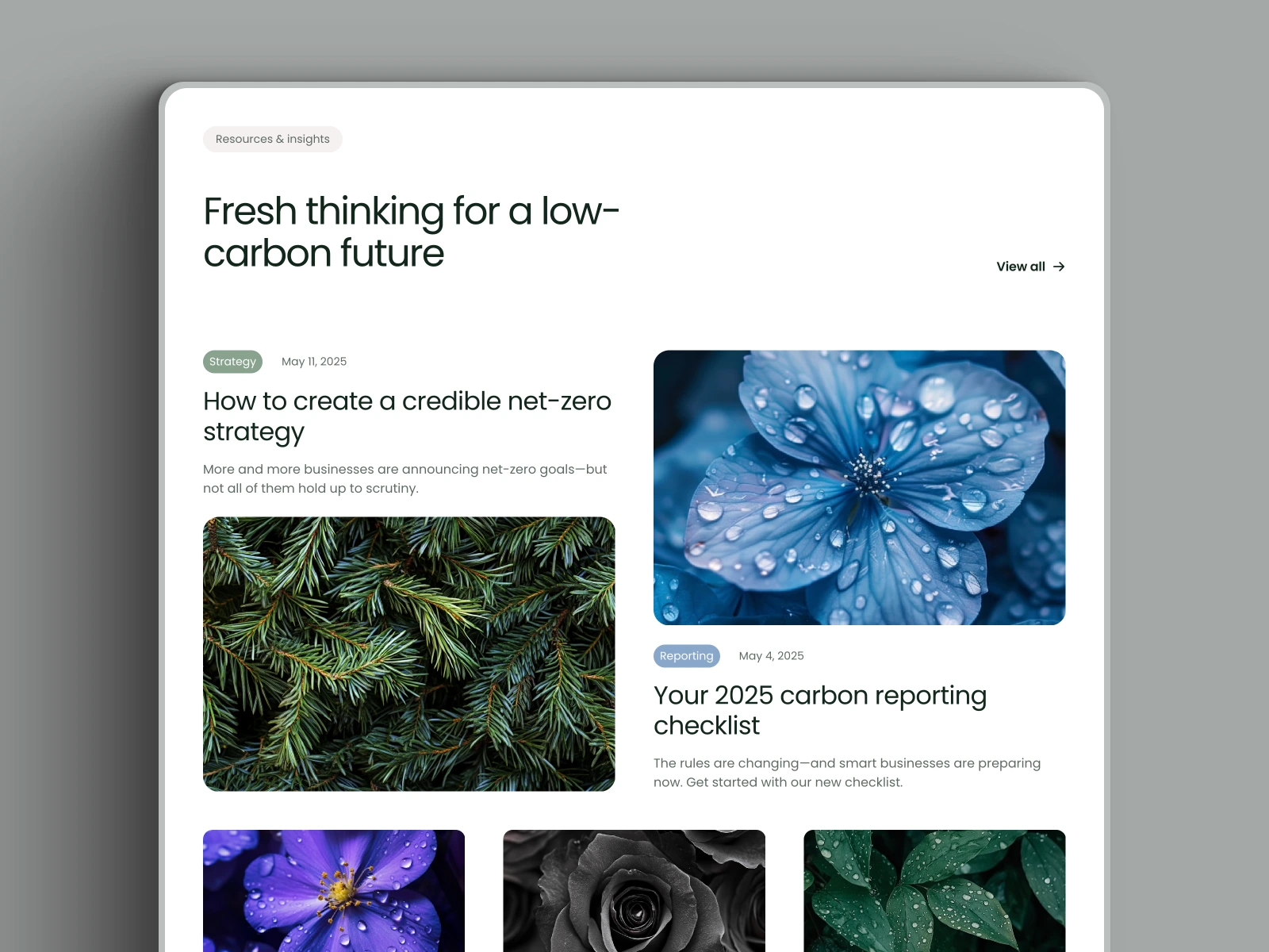Blog Section
