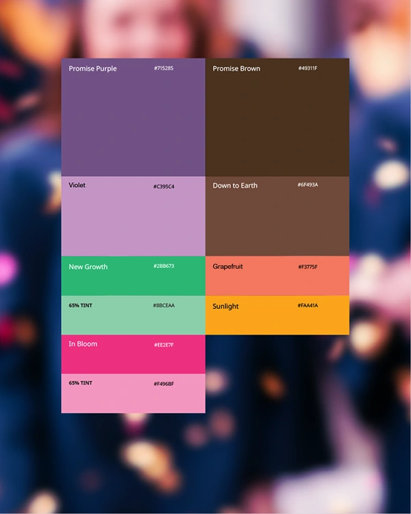 The revised Lansing Promise color palette is warm, distinct and not administrative.