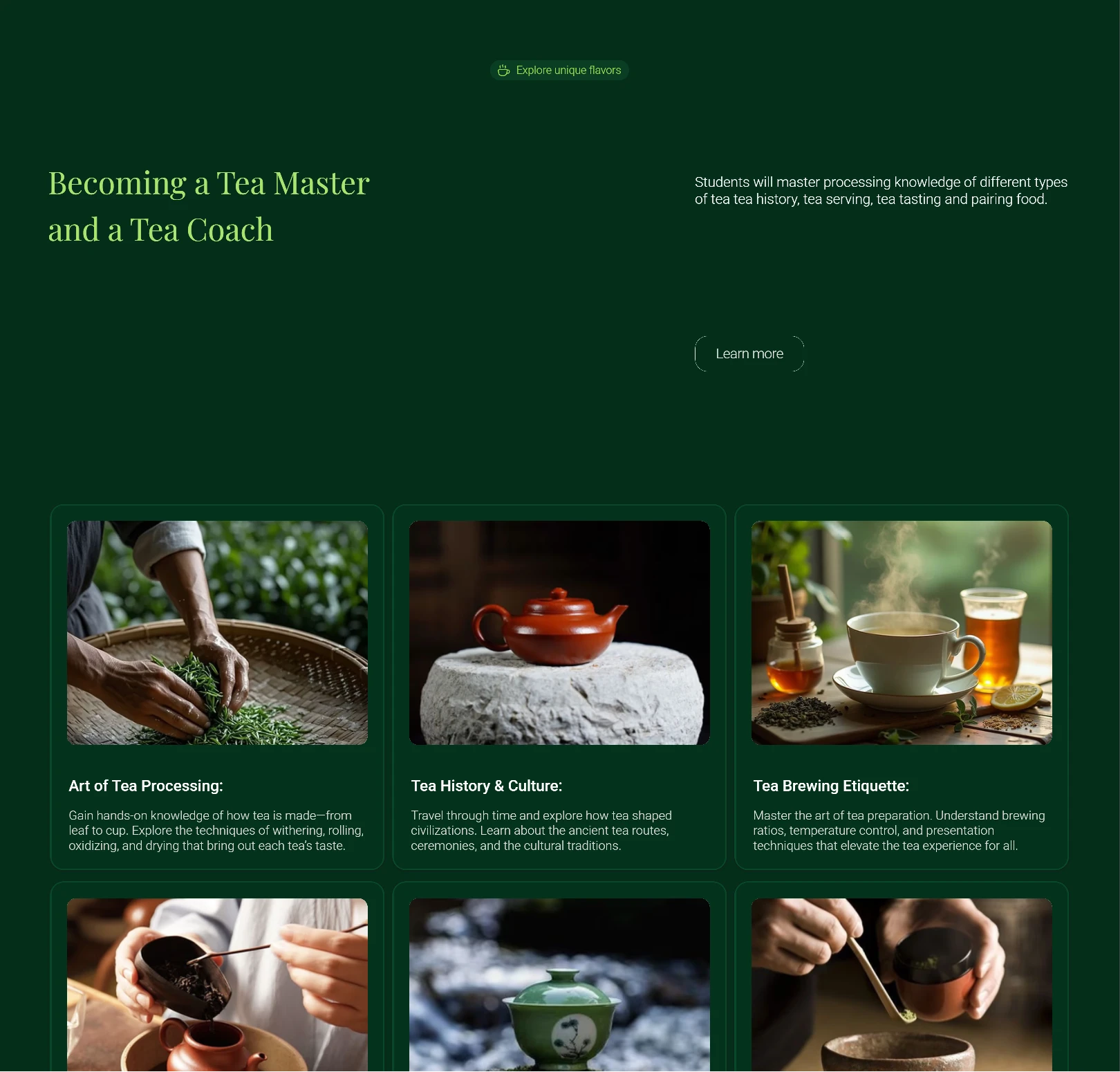 Structured course catalog showcasing learning options in a clean, digestible layout