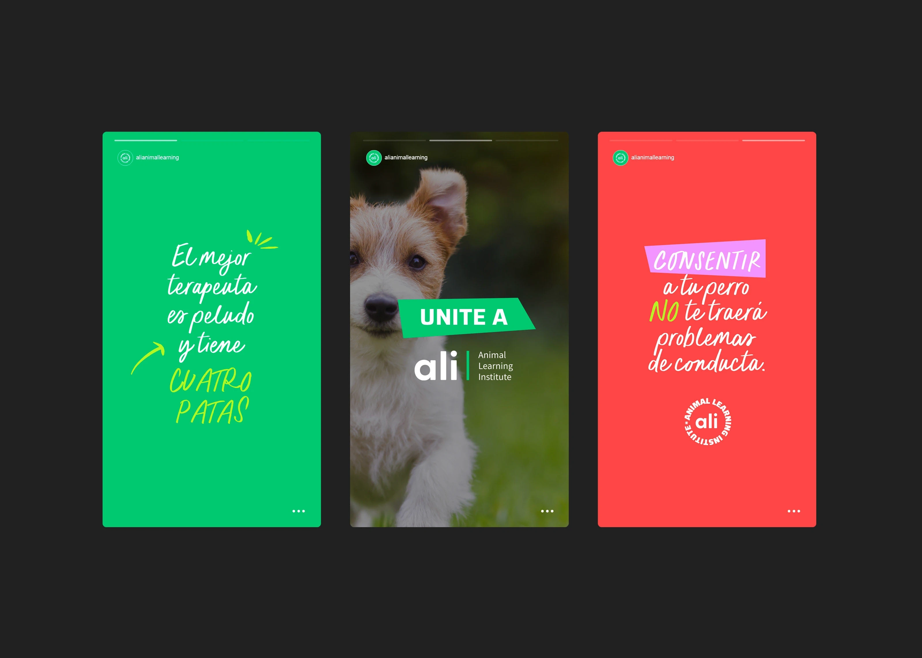 Social Media Assets for ALI / Animal Learning Institute