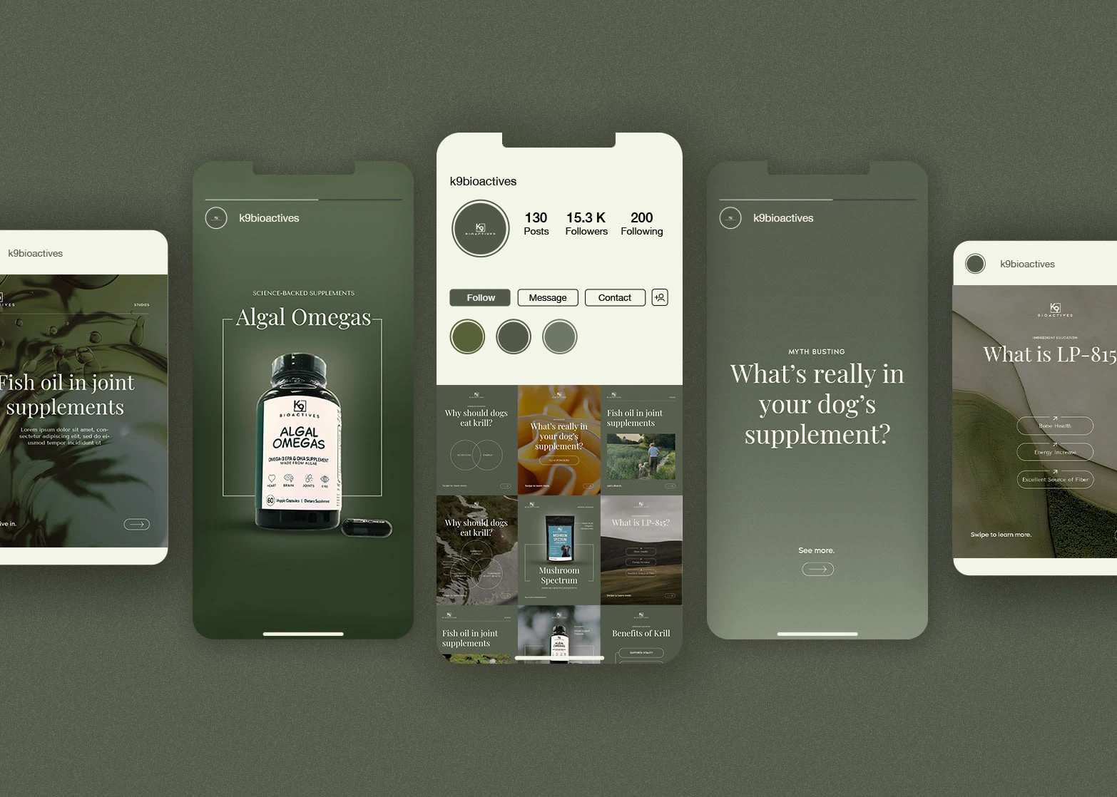 Full brand presence, from profile to stories to posts.