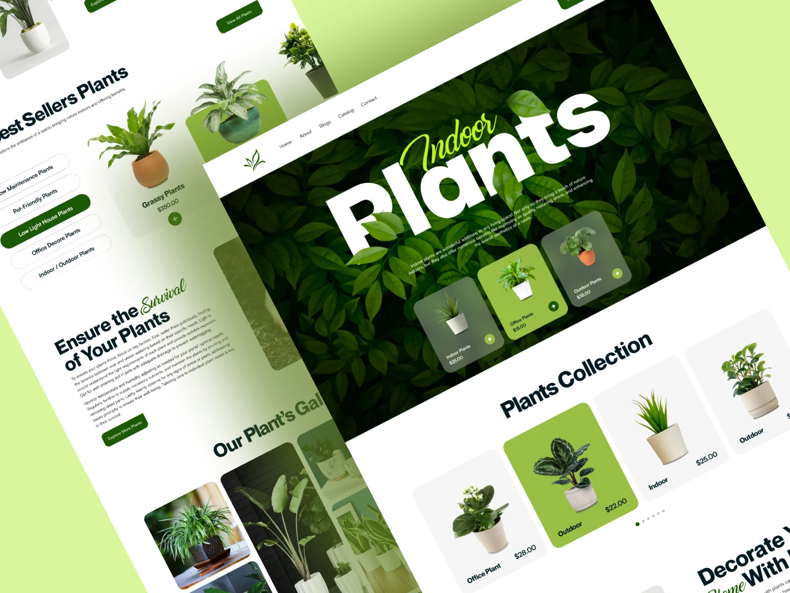 Web-Design For Plant Site