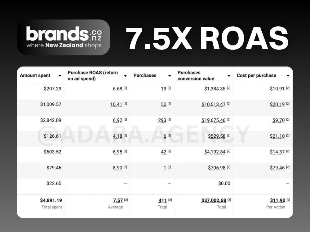 Meta Ads Management and Scaling.