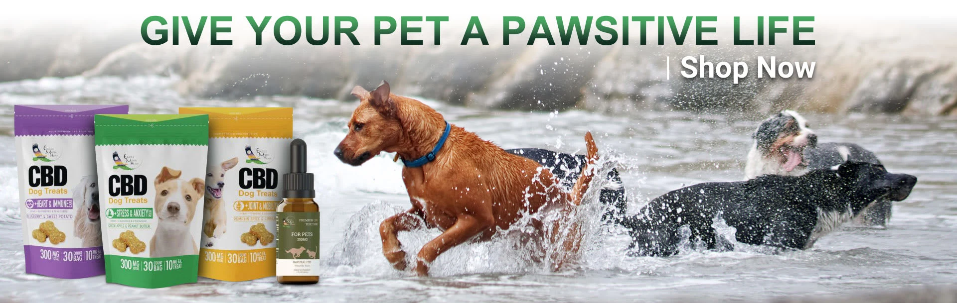 Web Banner - Layout and image enhancement done in Photoshop. Individual products were also placed in a group and shadows were created.