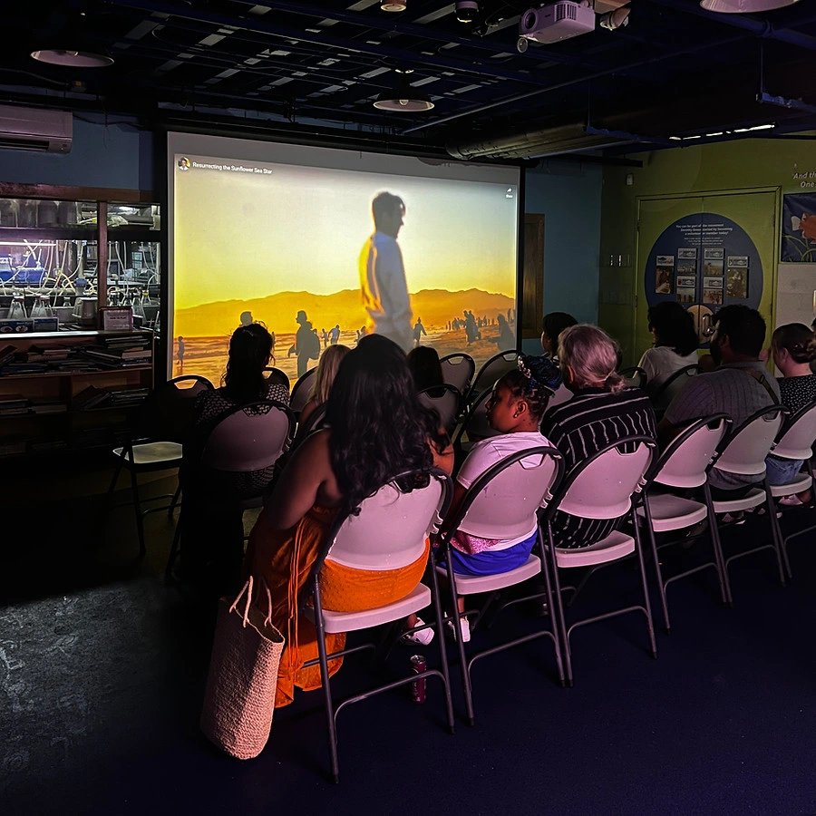 The film is a permanent feature at the aquarium, sparking discussion with the general public and giving Heal the Bay staff an effective way to talk about their vital conservation work.
