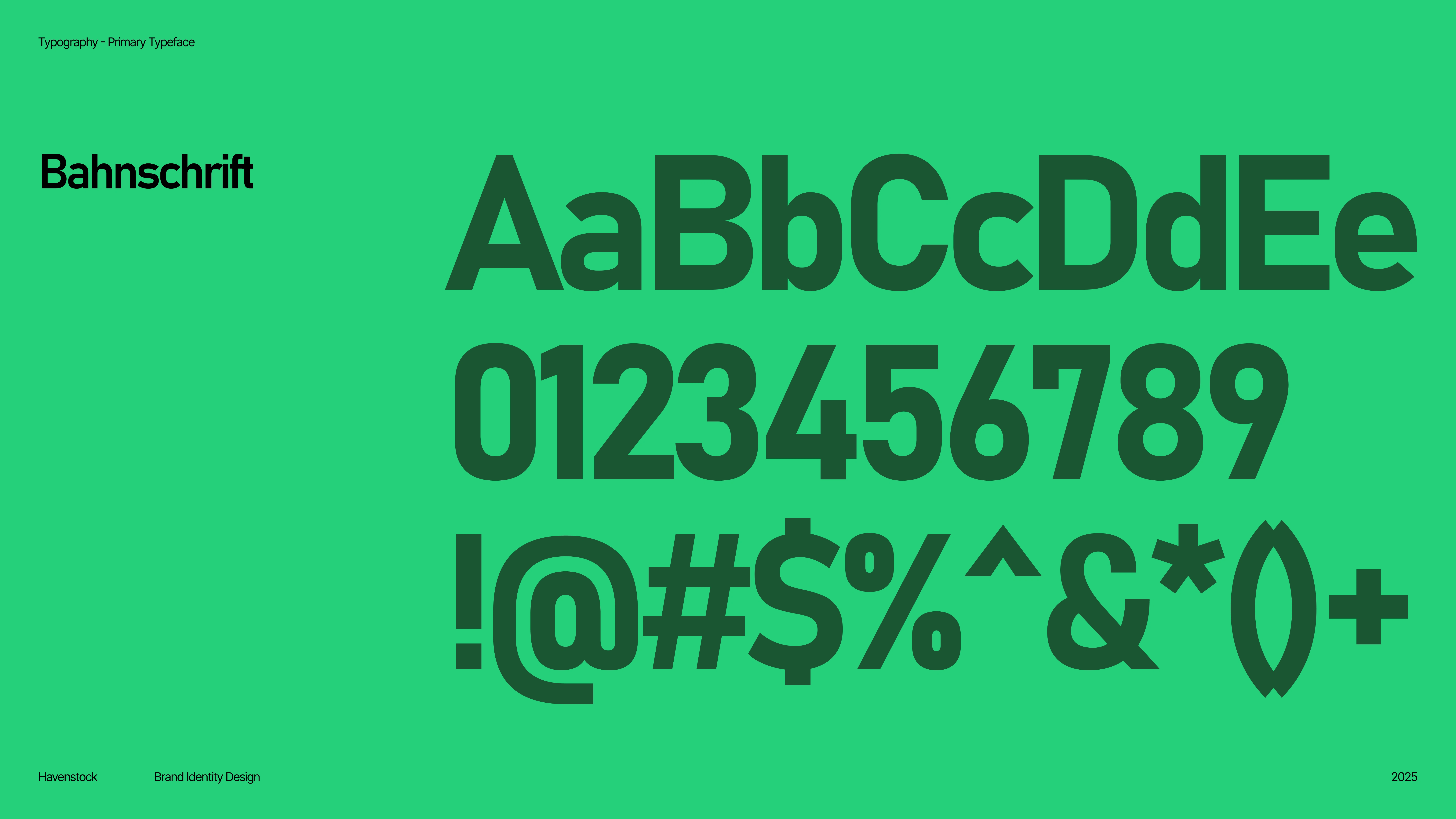 Primary Typography