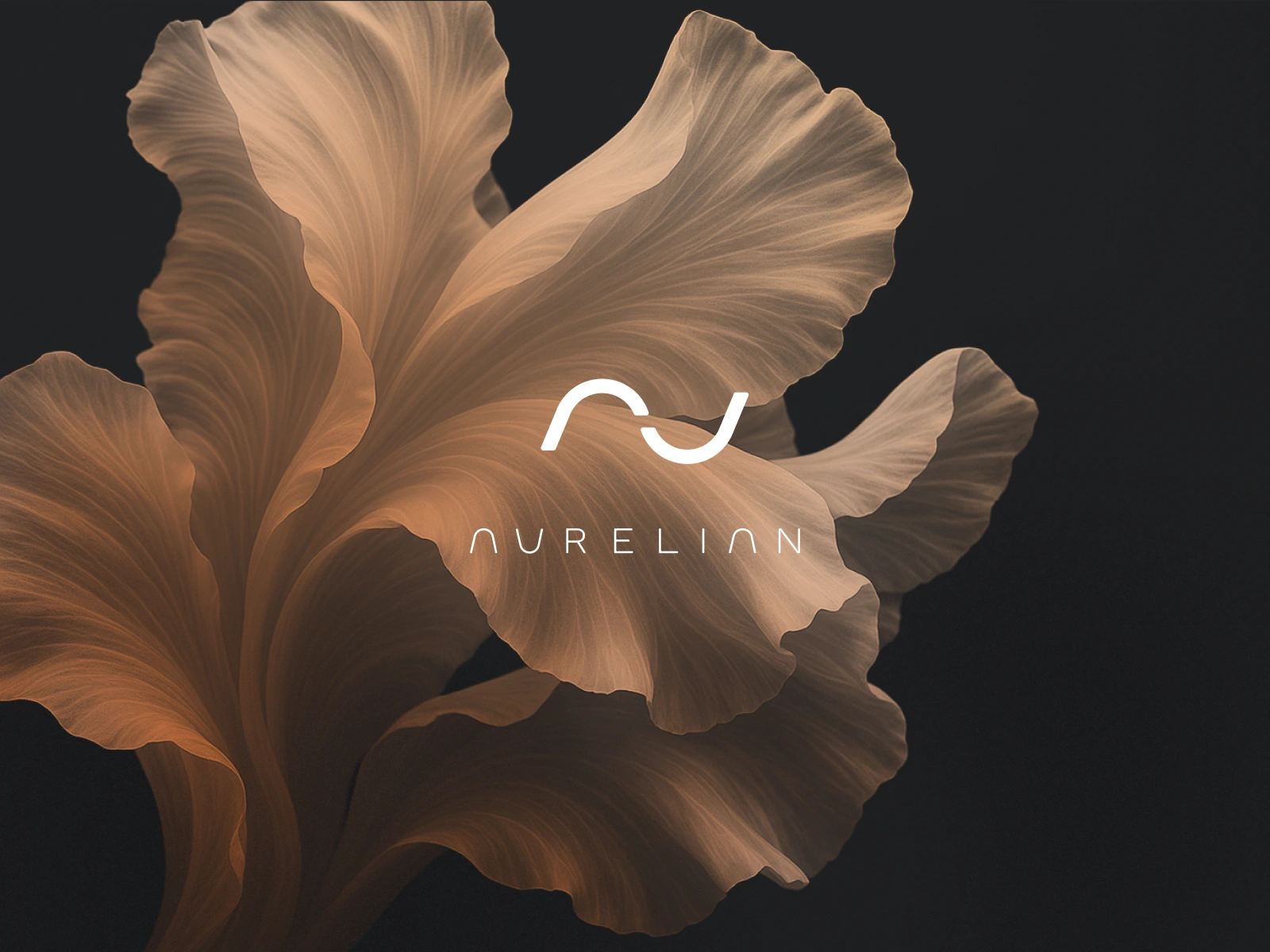 Organic 3D visuals reinforcing the brand’s refined, nature-inspired visual language and high-end aesthetic.