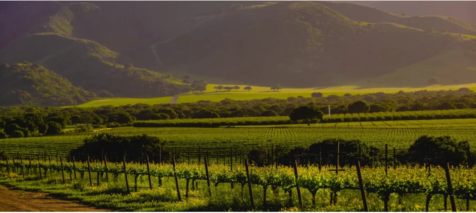 Morgan Winery: A Wine Lover's Carmel Itinerary