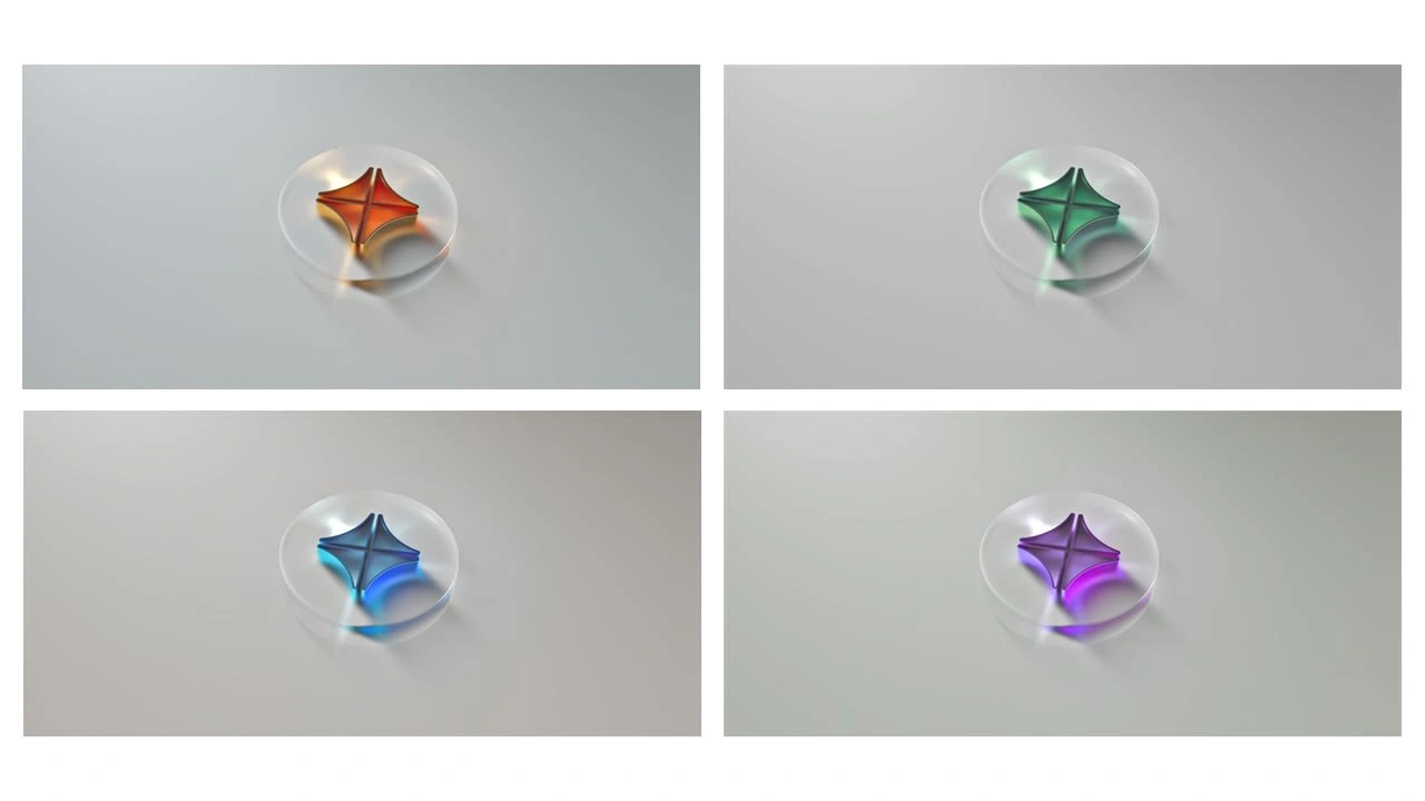 Coin designs reflect earning levels.