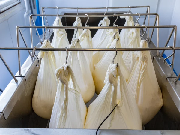 Hanging curds at Stonebeck Wensleydale.