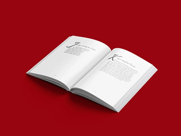 Book Interior