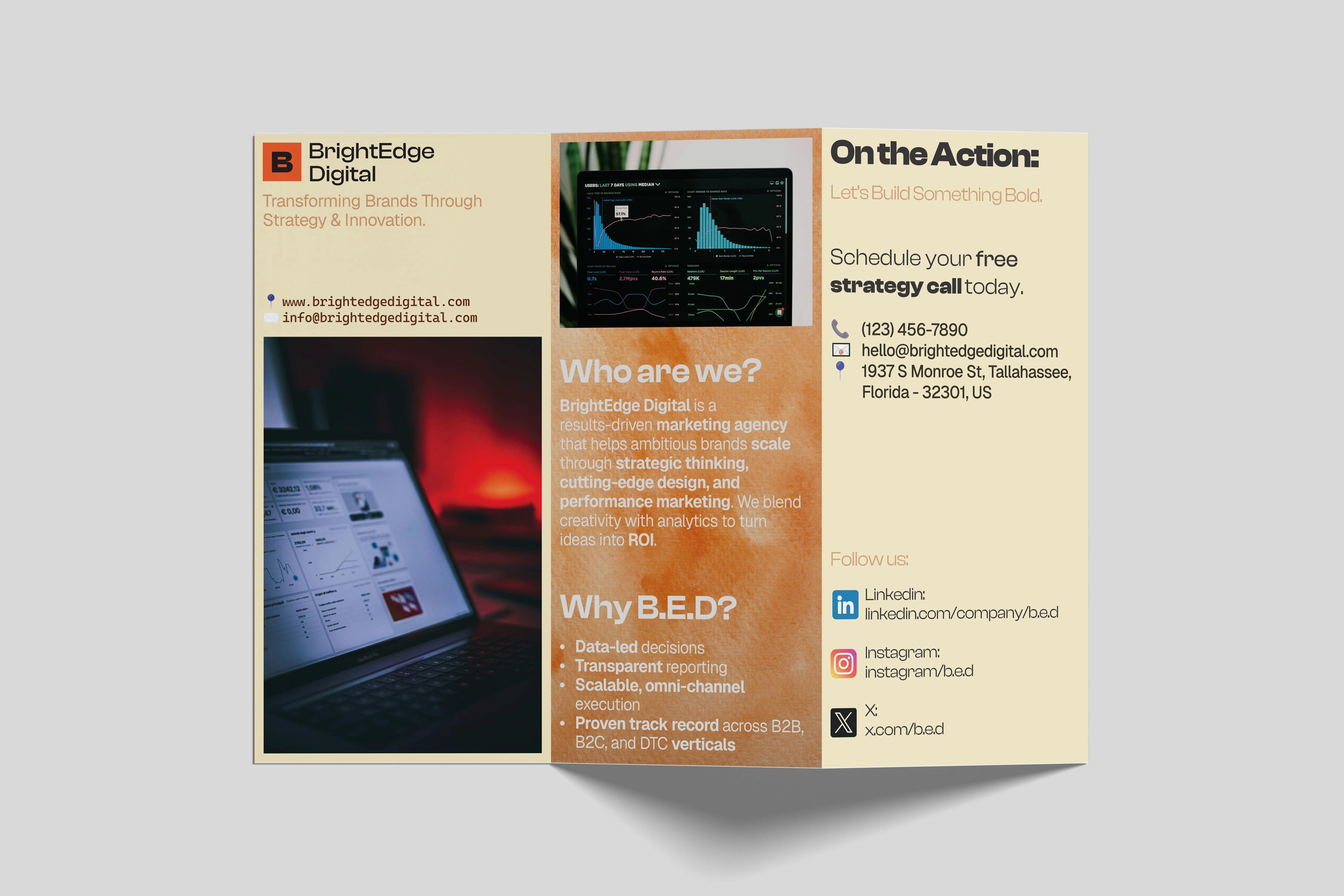 Professional Brochure with essentialism