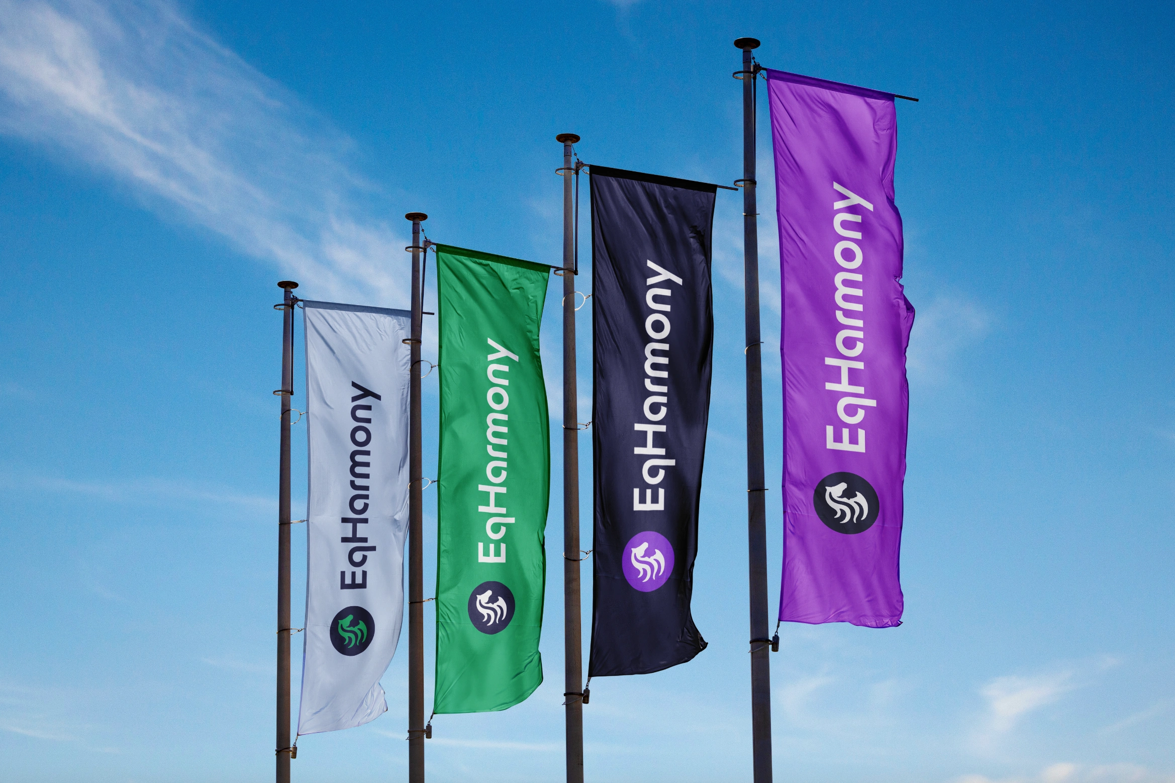 Logo Design, Logo Designer, Visual Designer, Brand Identity, Brand Identity Design, Branding, , Brand Design, Brand Strategist, Creative Strategist, Brand Guidelines, Graphic Designer, Adobe Illustrator, Adobe Photoshop - EqHarmony, Digital Equestrian Platform