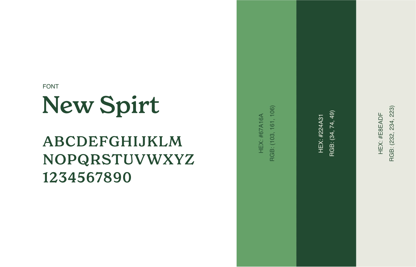 Logo Typography and Brand Color