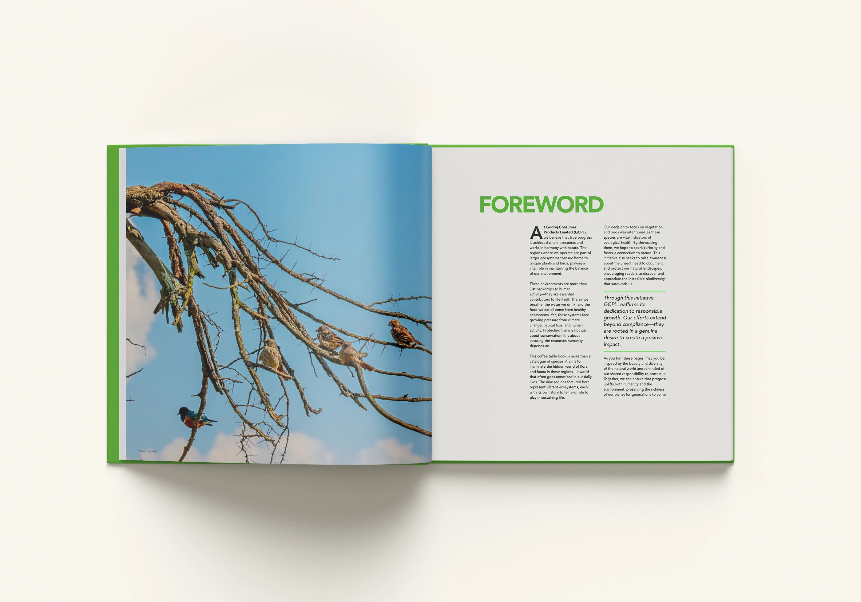 Foreword