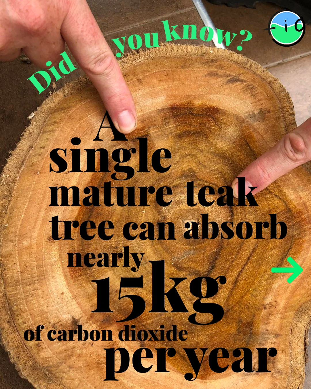 Educational series social media post 