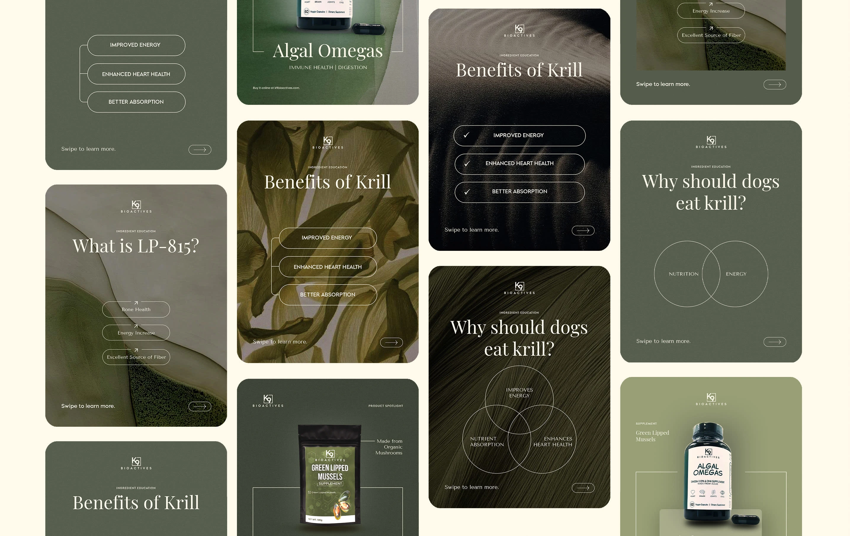 Two hero post styles: ingredient deep-dives and myth debunkers—with clarity and character.