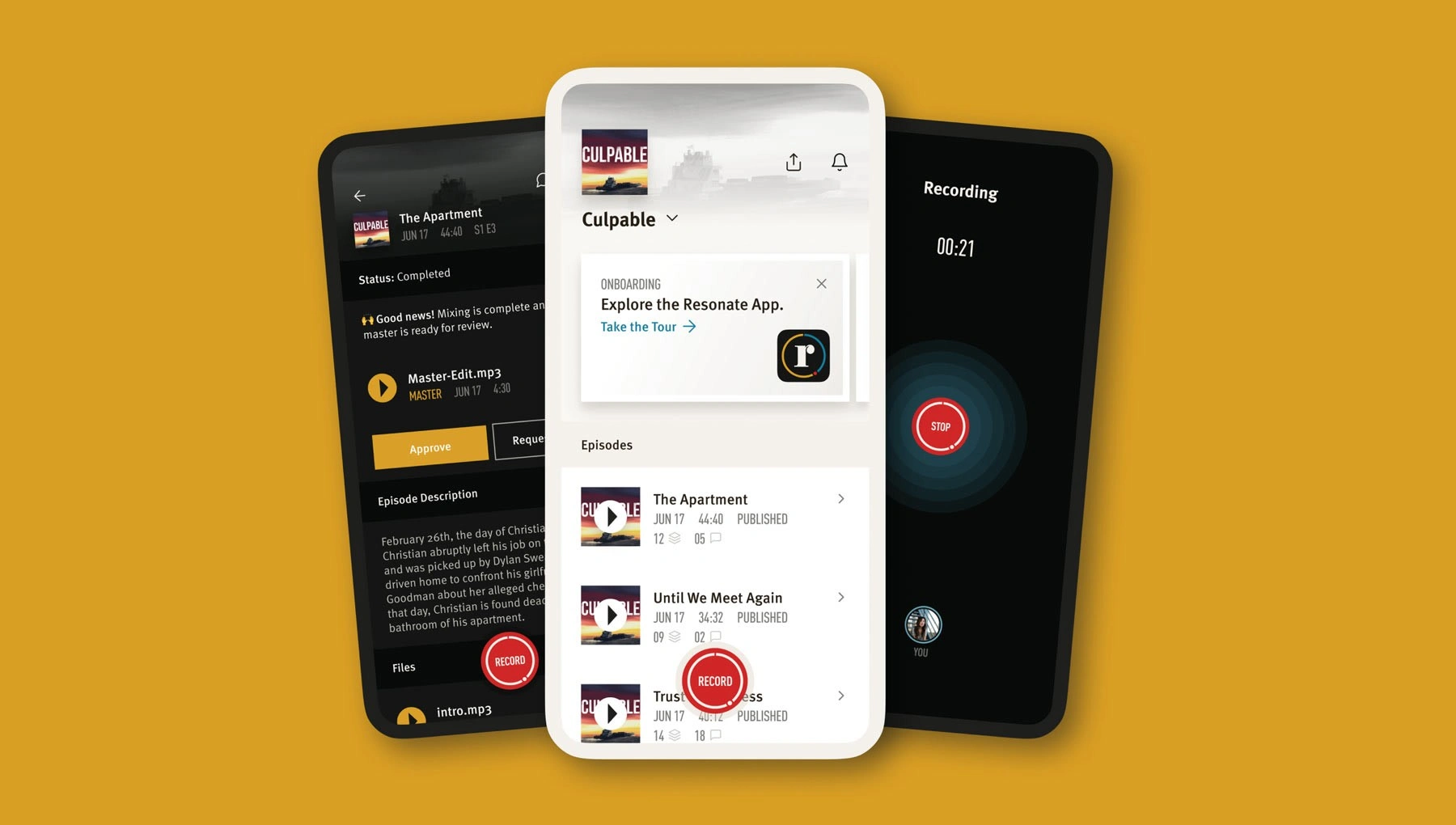 The final version featured designs for both light and dark modes.